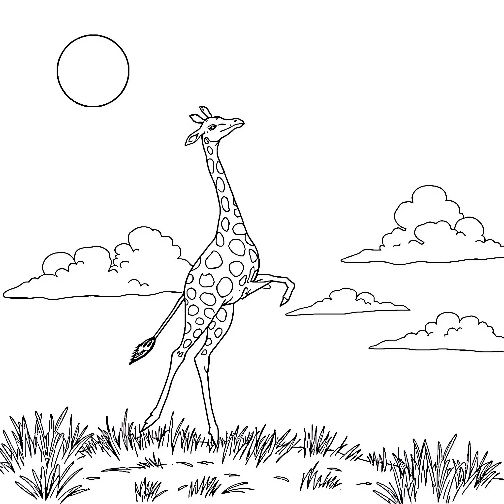 Giraffe walking through grassy plains Coloring Page (free black-and-white line drawing printable PDF for all, from beginners to advanced learners, including children, teens, adults, and seniors)
