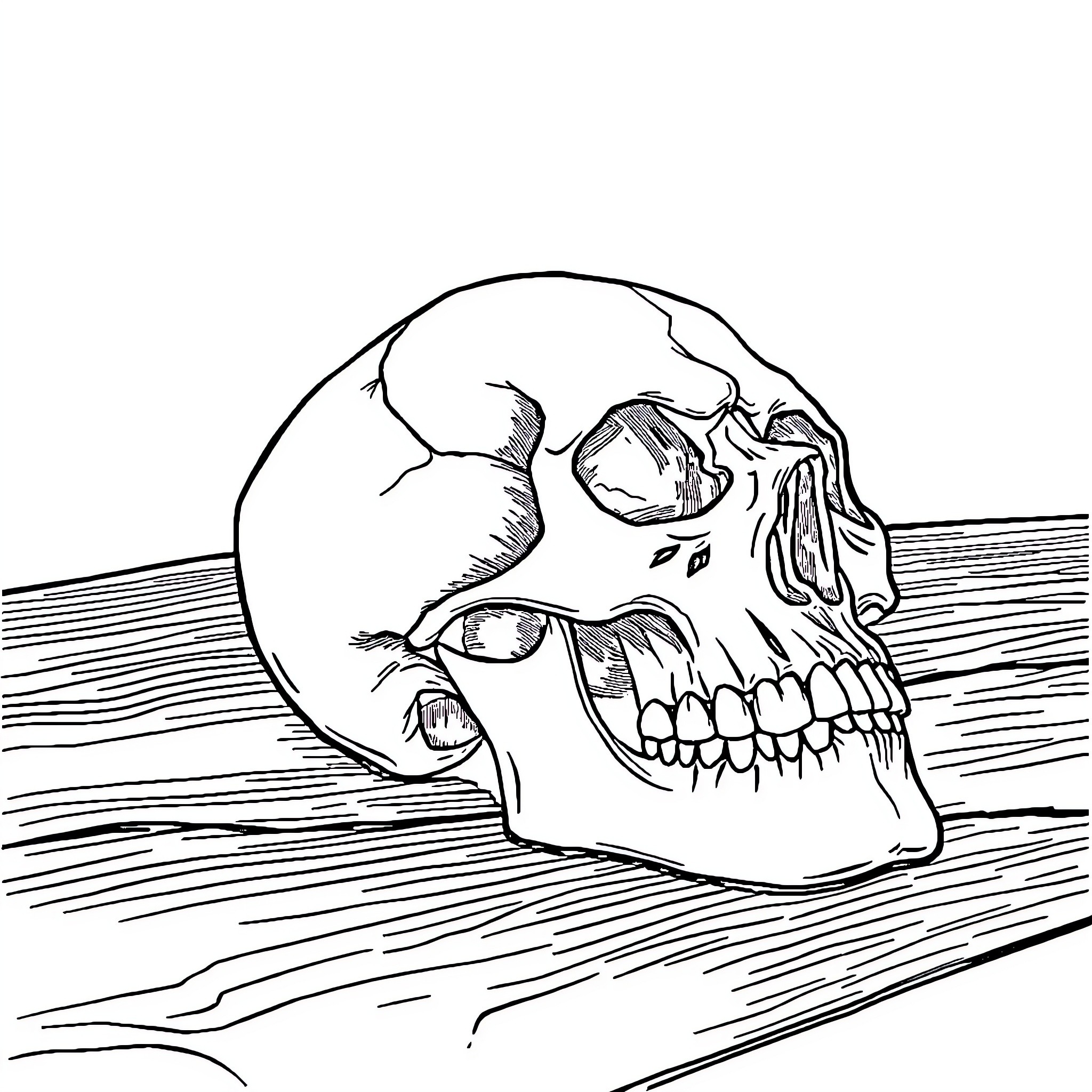 Skull resting on wooden surface Coloring Page (free black-and-white line drawing printable PDF for all, from beginners to advanced learners, including children, teens, adults, and seniors)