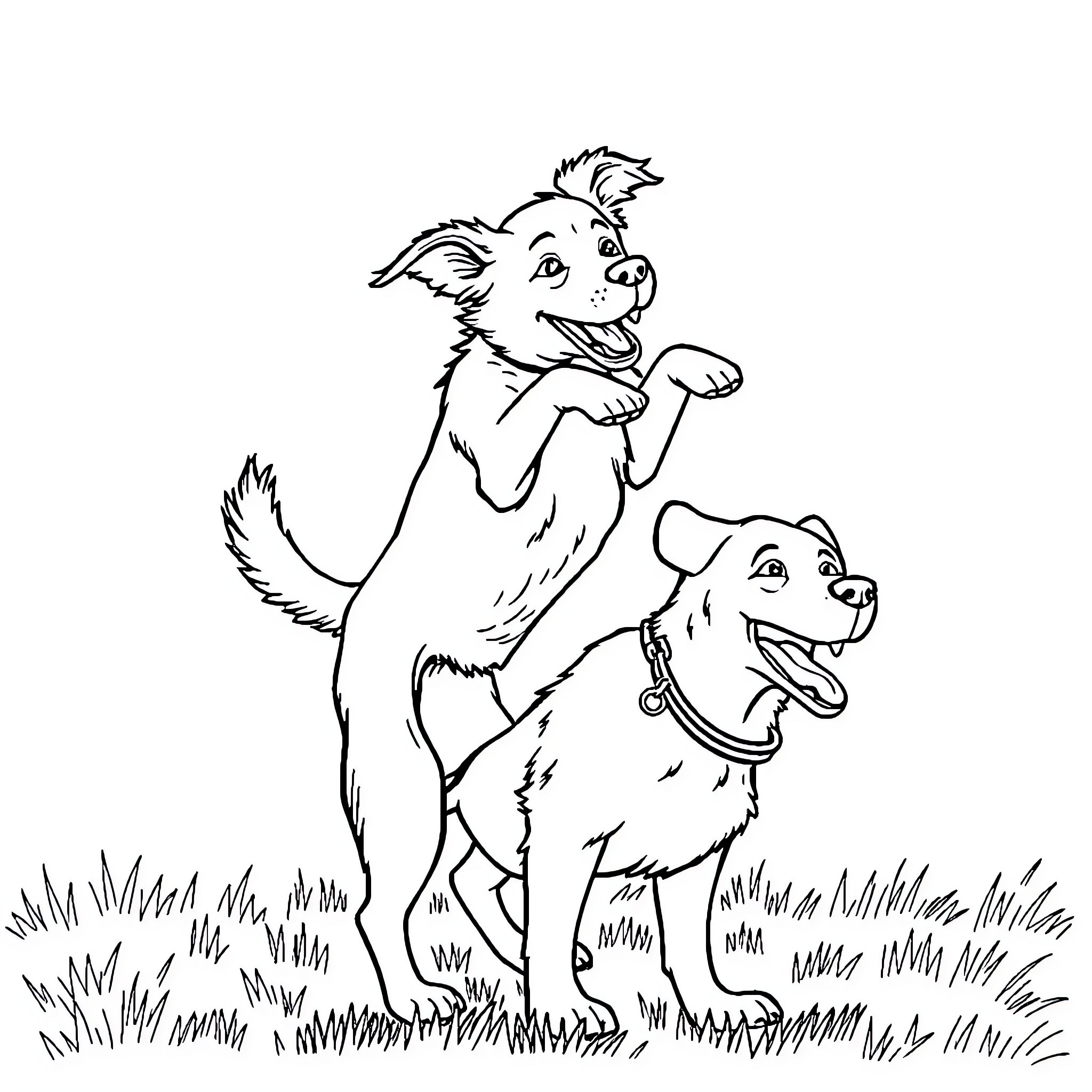Dog friends playing in the grass Coloring Page (free black-and-white line drawing printable PDF for all, from beginners to advanced learners, including children, teens, adults, and seniors)