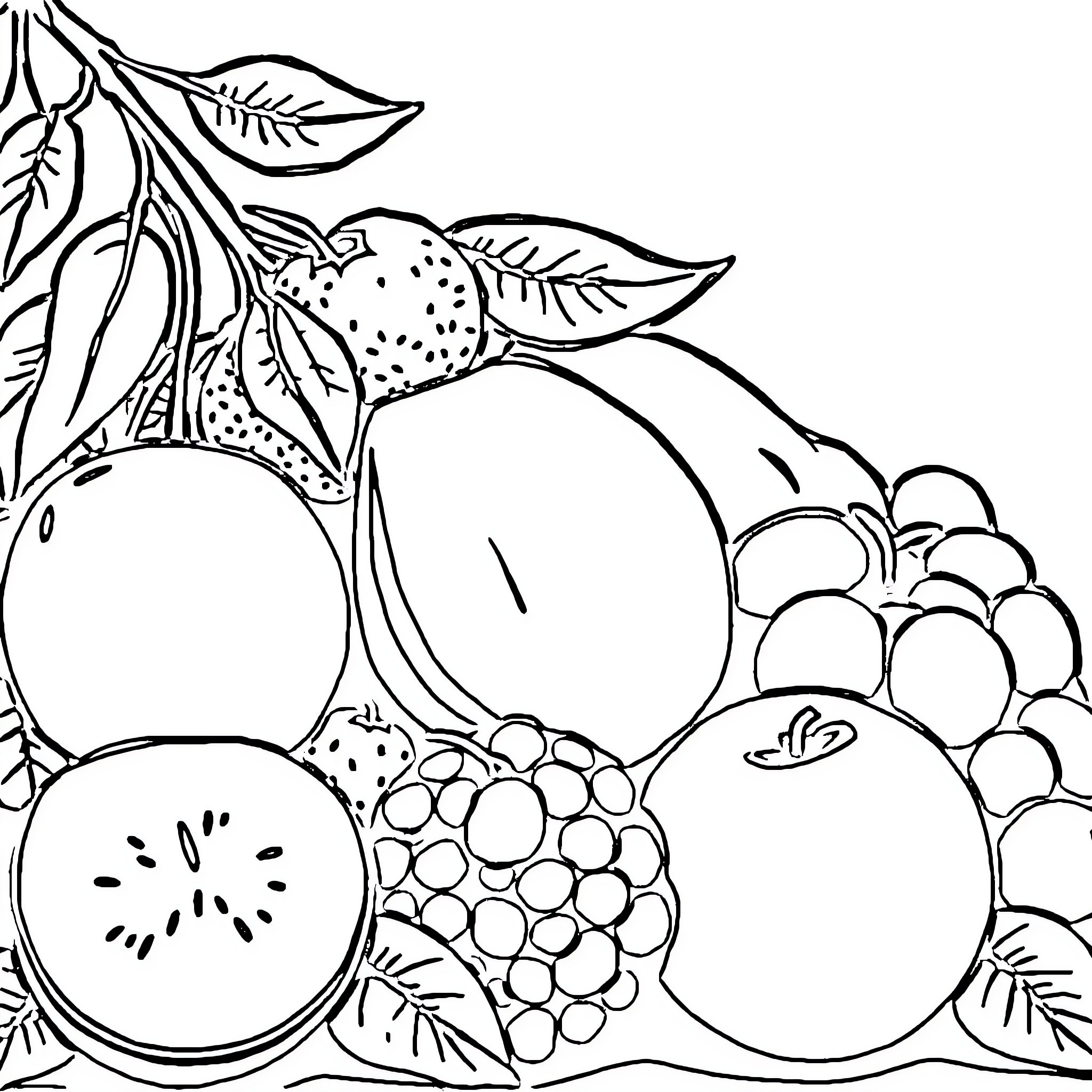 Fruit Basket with Assorted Produce Coloring Page (free black-and-white line drawing printable PDF for all, from beginners to advanced learners, including children, teens, adults, and seniors)