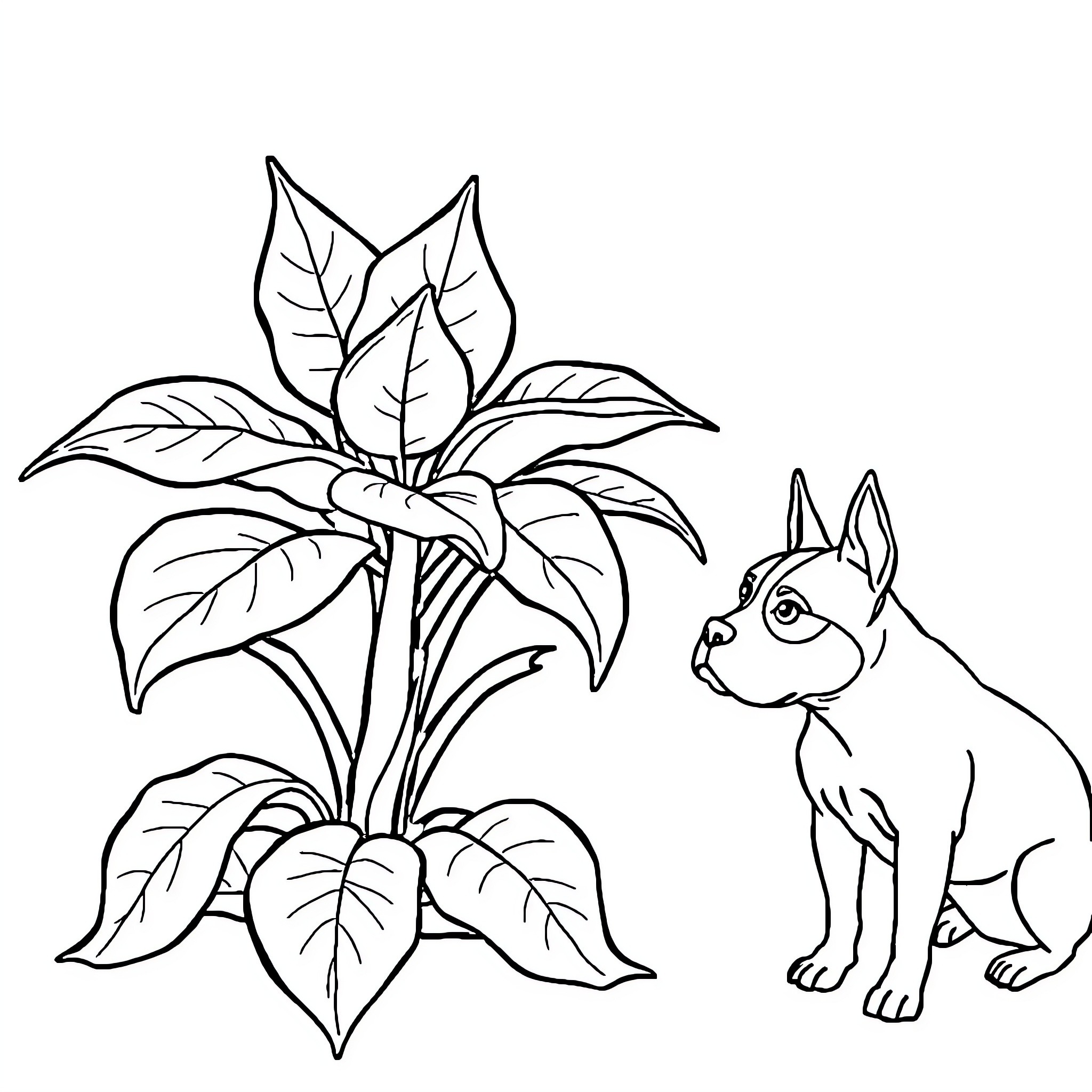 Monstera plant and playful dog Coloring Page (free black-and-white line drawing printable PDF for all, from beginners to advanced learners, including children, teens, adults, and seniors)