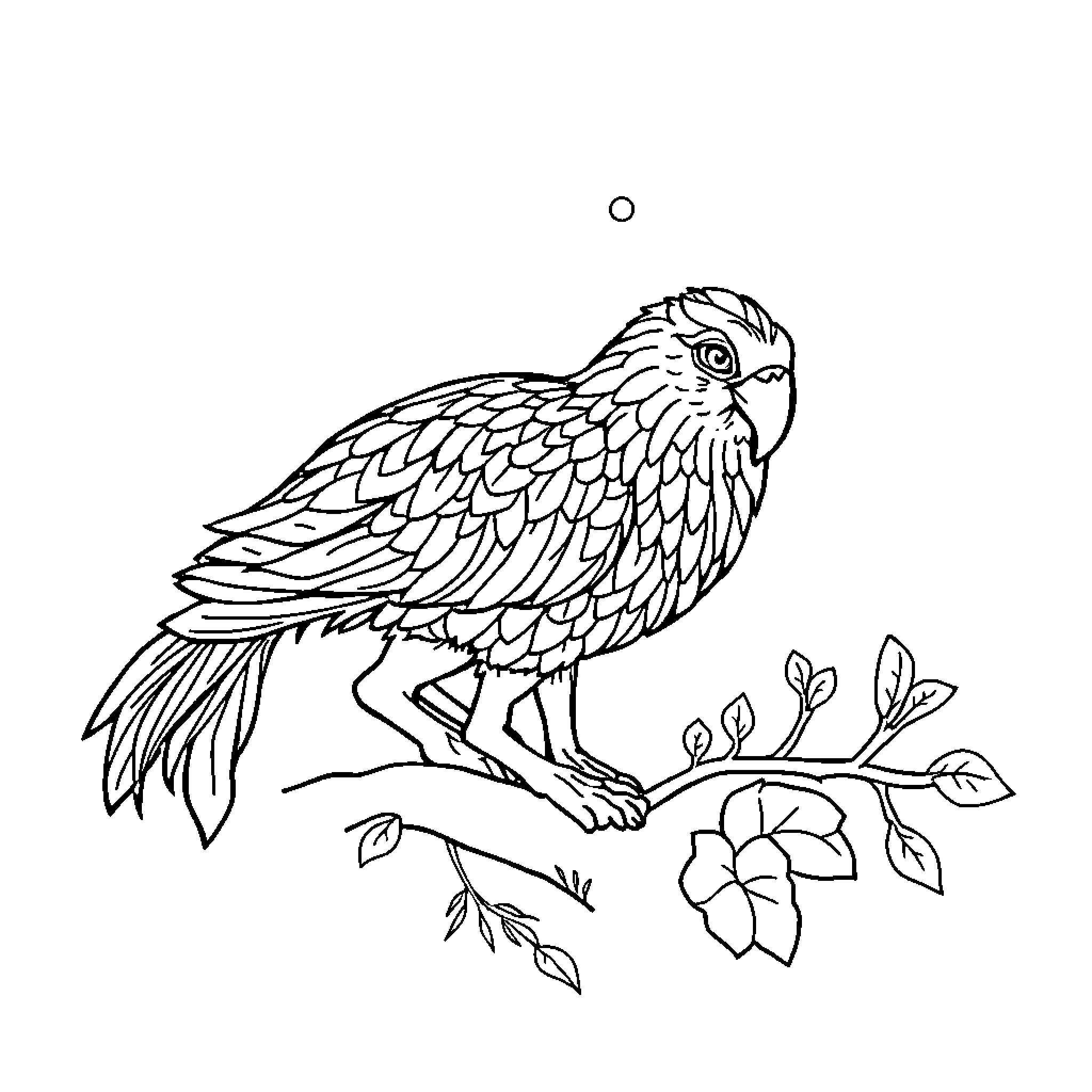 Boy Explores Detailed Bird Perched on Branch Coloring Page (free black-and-white line drawing printable PDF for all, from beginners to advanced learners, including children, teens, adults, and seniors)
