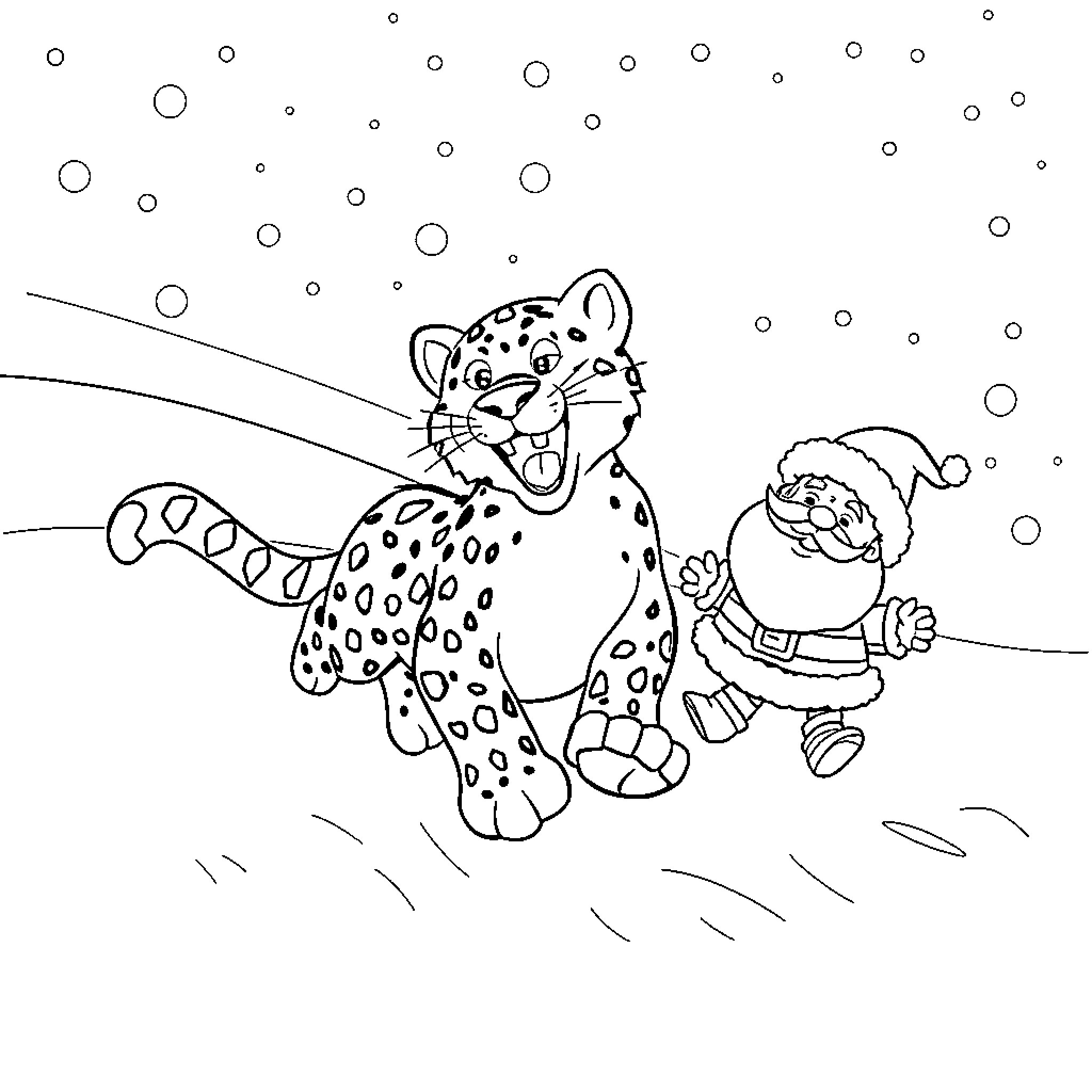 Snow Leopard chasing Santa Claus in the snow Coloring Page (free black-and-white line drawing printable PDF for all, from beginners to advanced learners, including children, teens, adults, and seniors)