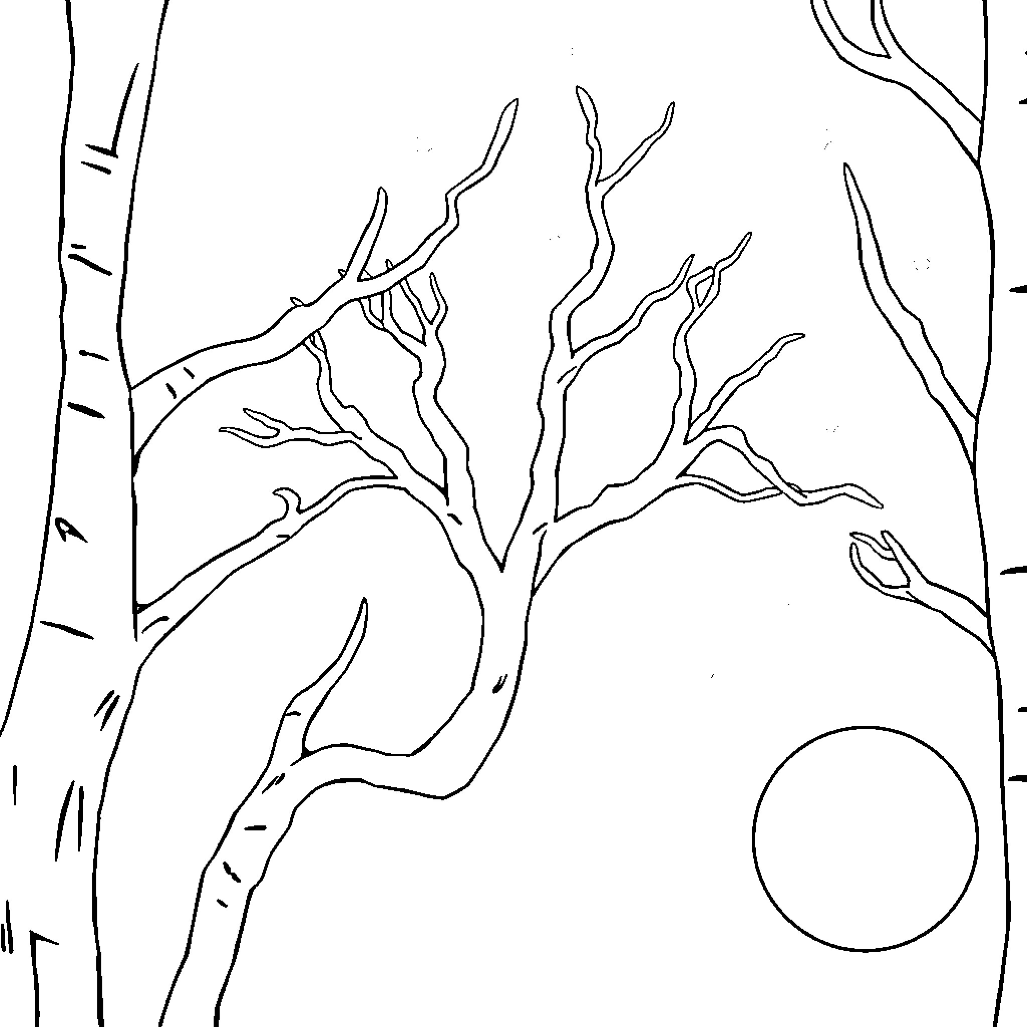Light Bulb Shaped Tree in Moonlit Forest Coloring Page (free black-and-white line drawing printable PDF for all, from beginners to advanced learners, including children, teens, adults, and seniors)