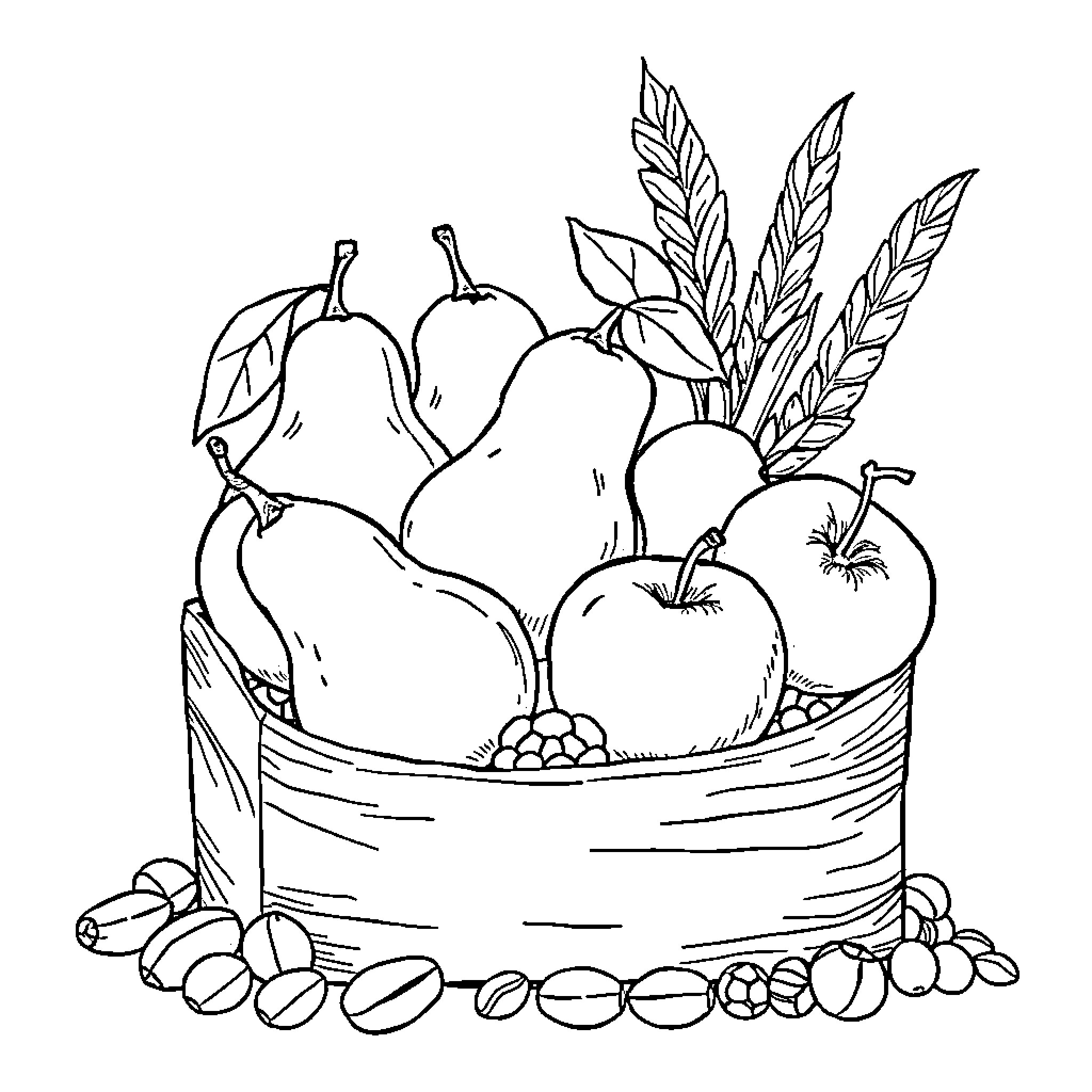 Fruit Harvest Bounty in Basket Coloring Page (free black-and-white line drawing printable PDF for all, from beginners to advanced learners, including children, teens, adults, and seniors)