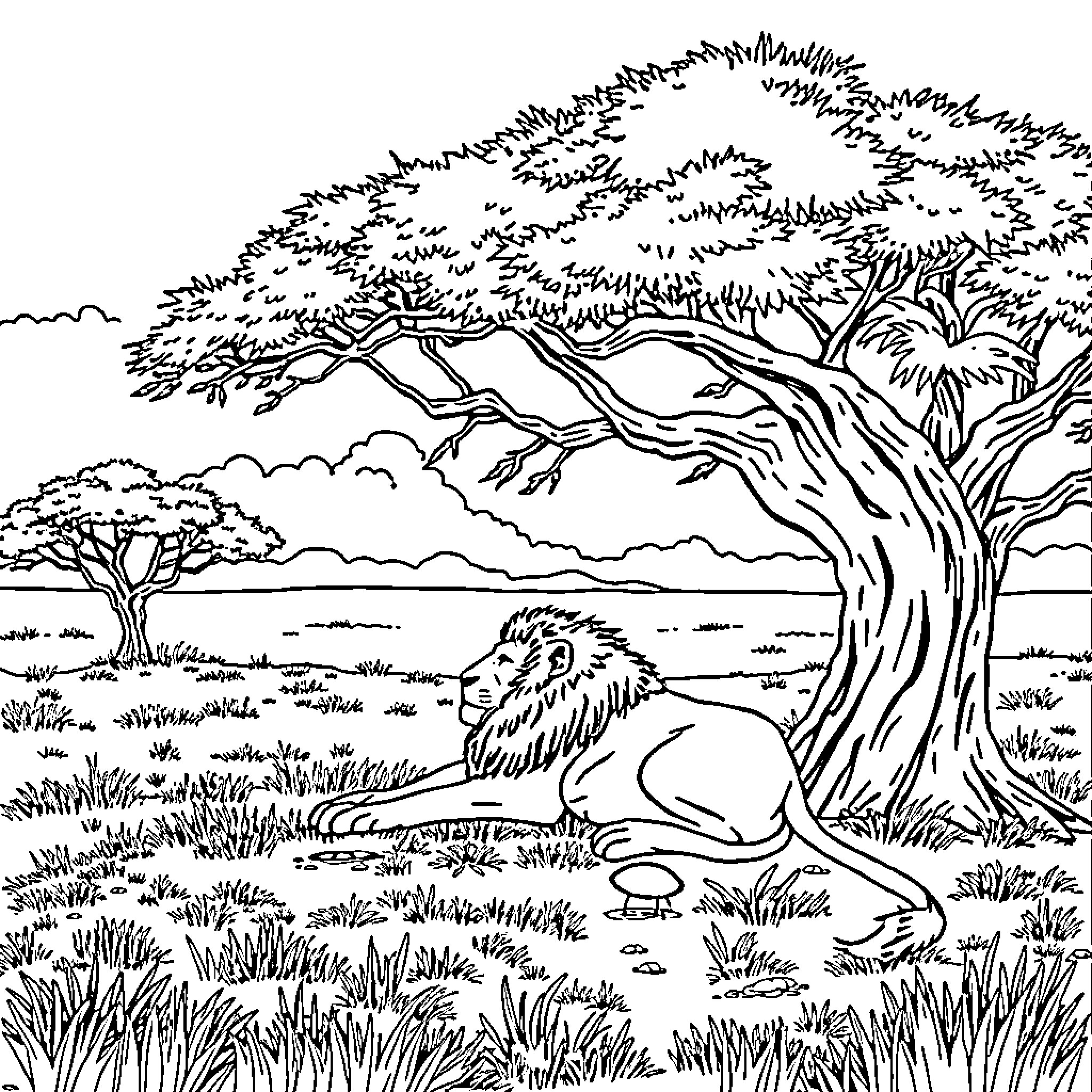 Lion resting in lush African landscape Coloring Page (free black-and-white line drawing printable PDF for all, from beginners to advanced learners, including children, teens, adults, and seniors)