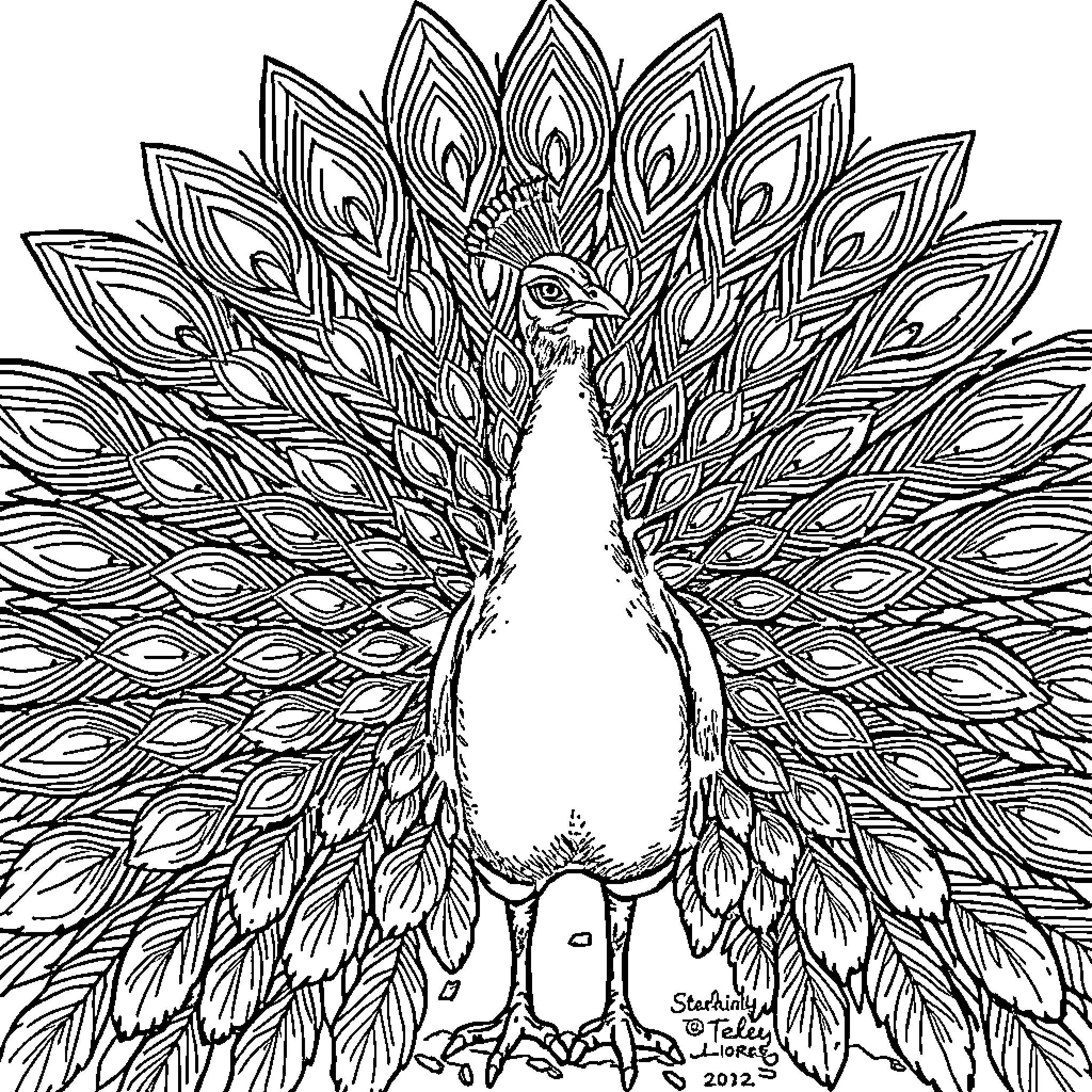 Peacock displaying its magnificent plumage Coloring Page (free black-and-white line drawing printable PDF for all, from beginners to advanced learners, including children, teens, adults, and seniors)