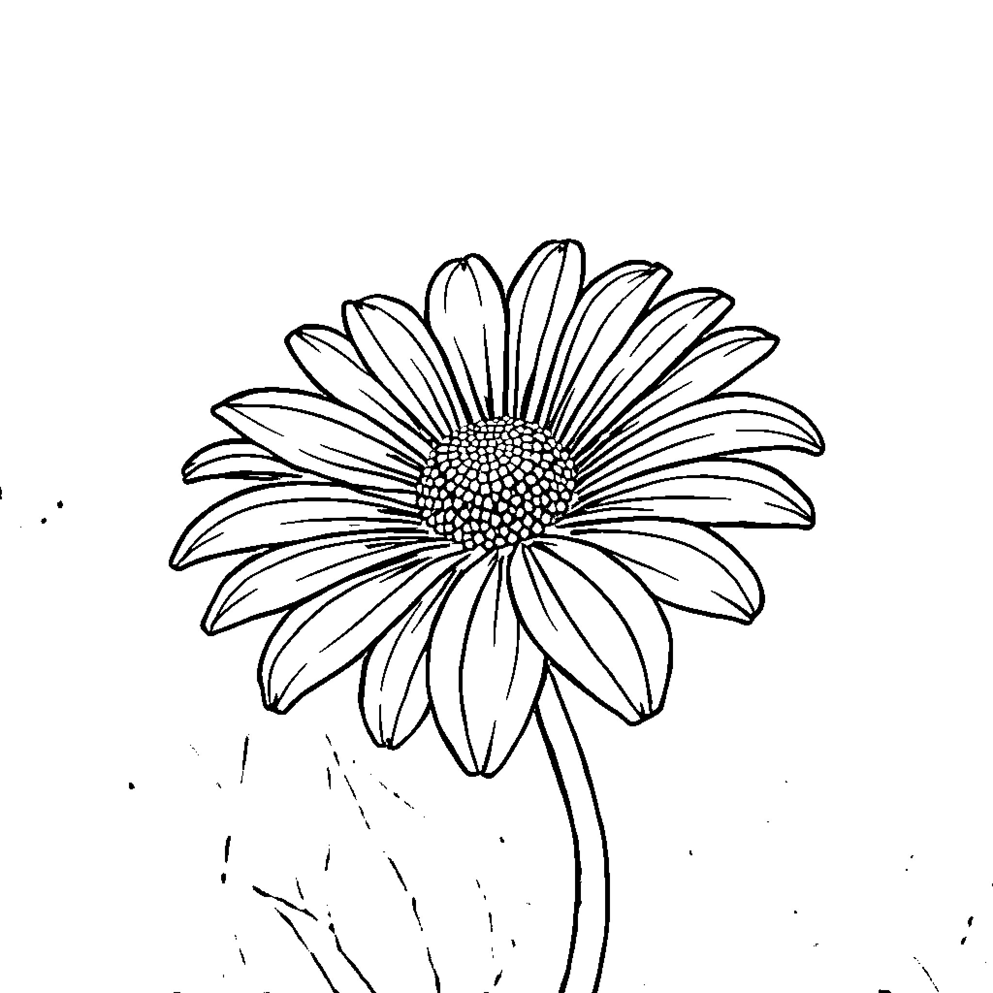 Flower blooming in the garden Coloring Page (free black-and-white line drawing printable PDF for all, from beginners to advanced learners, including children, teens, adults, and seniors)