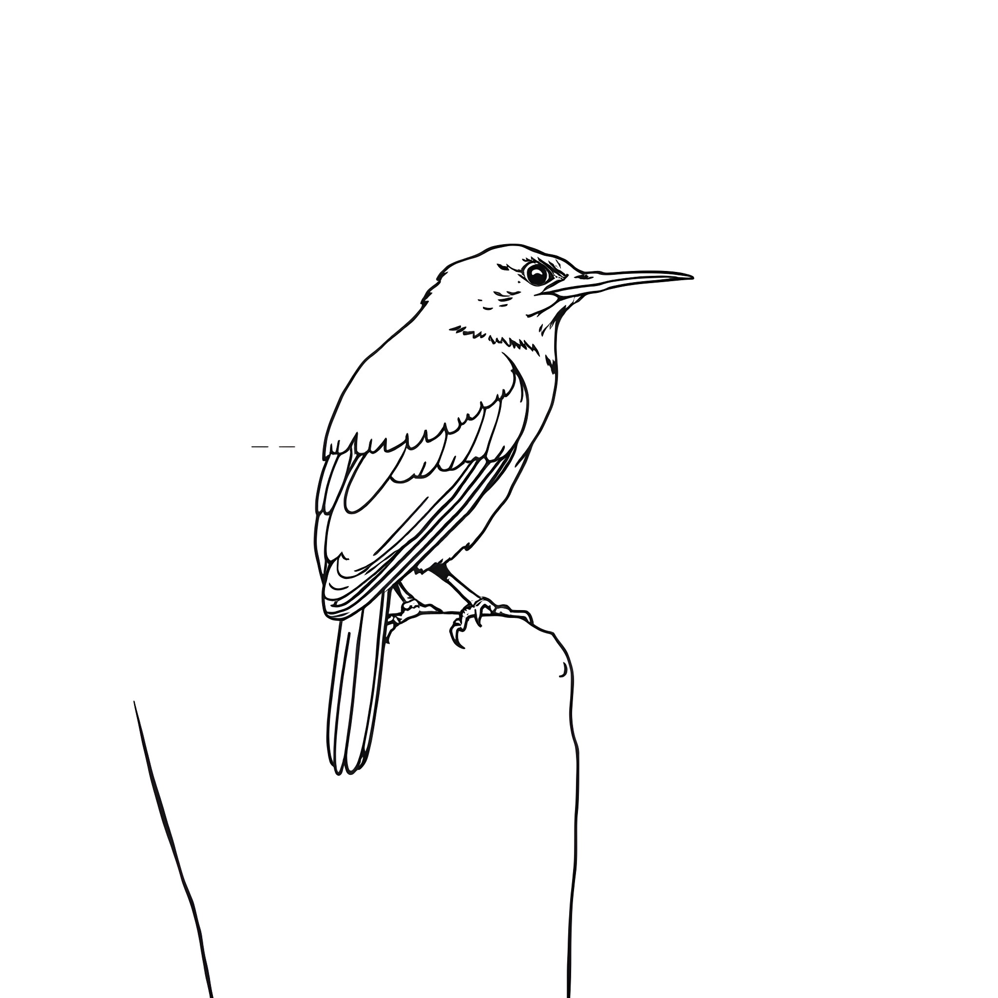 Dacnis perched on a branch Coloring Page (free black-and-white line drawing printable PDF for all, from beginners to advanced learners, including children, teens, adults, and seniors)