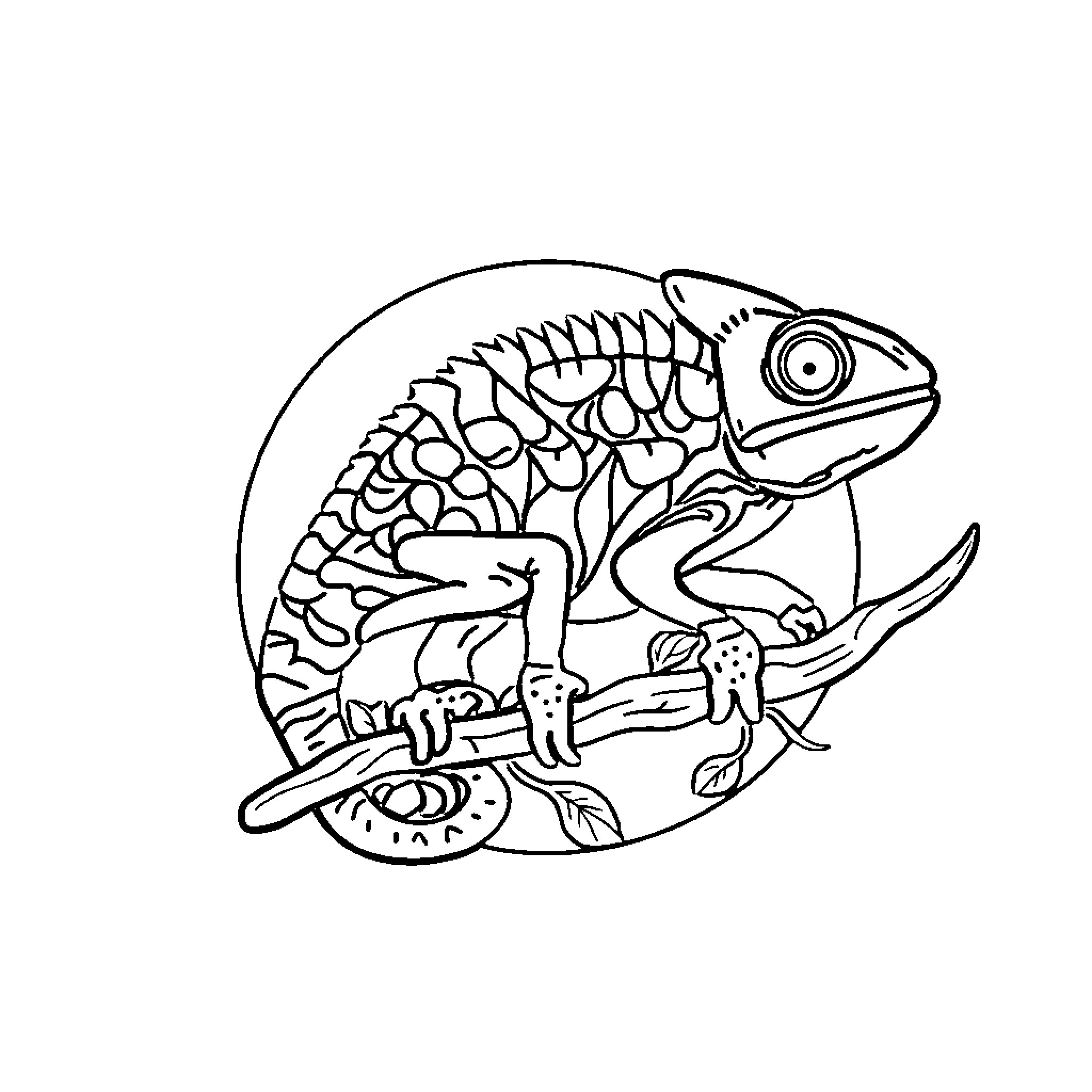 Logo of stylized chameleon in circular design Coloring Page (free black-and-white line drawing printable PDF for all, from beginners to advanced learners, including children, teens, adults, and seniors)