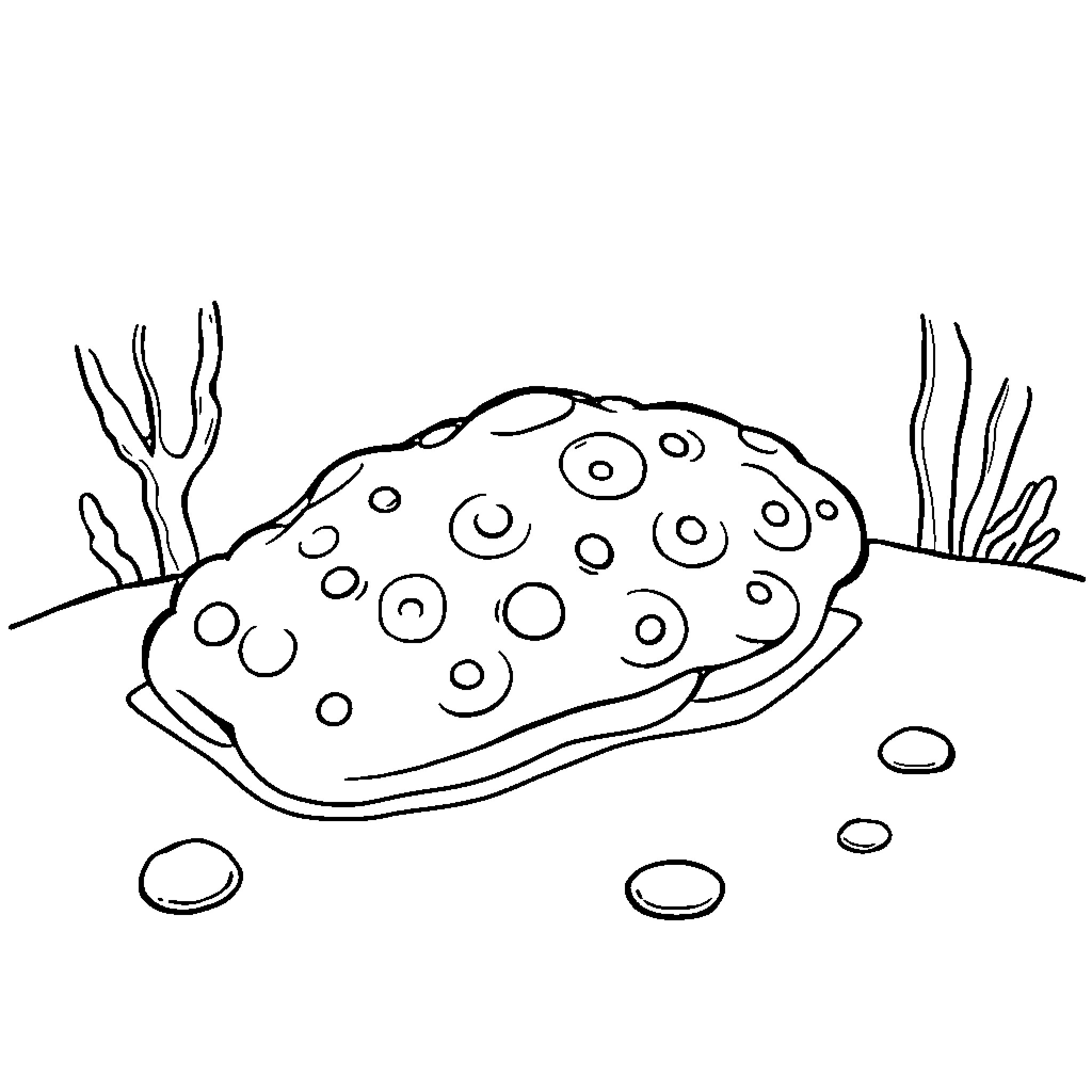 Sea Sponge Resting Peacefully on the Ocean Floor Coloring Page (free black-and-white line drawing printable PDF for all, from beginners to advanced learners, including children, teens, adults, and seniors)