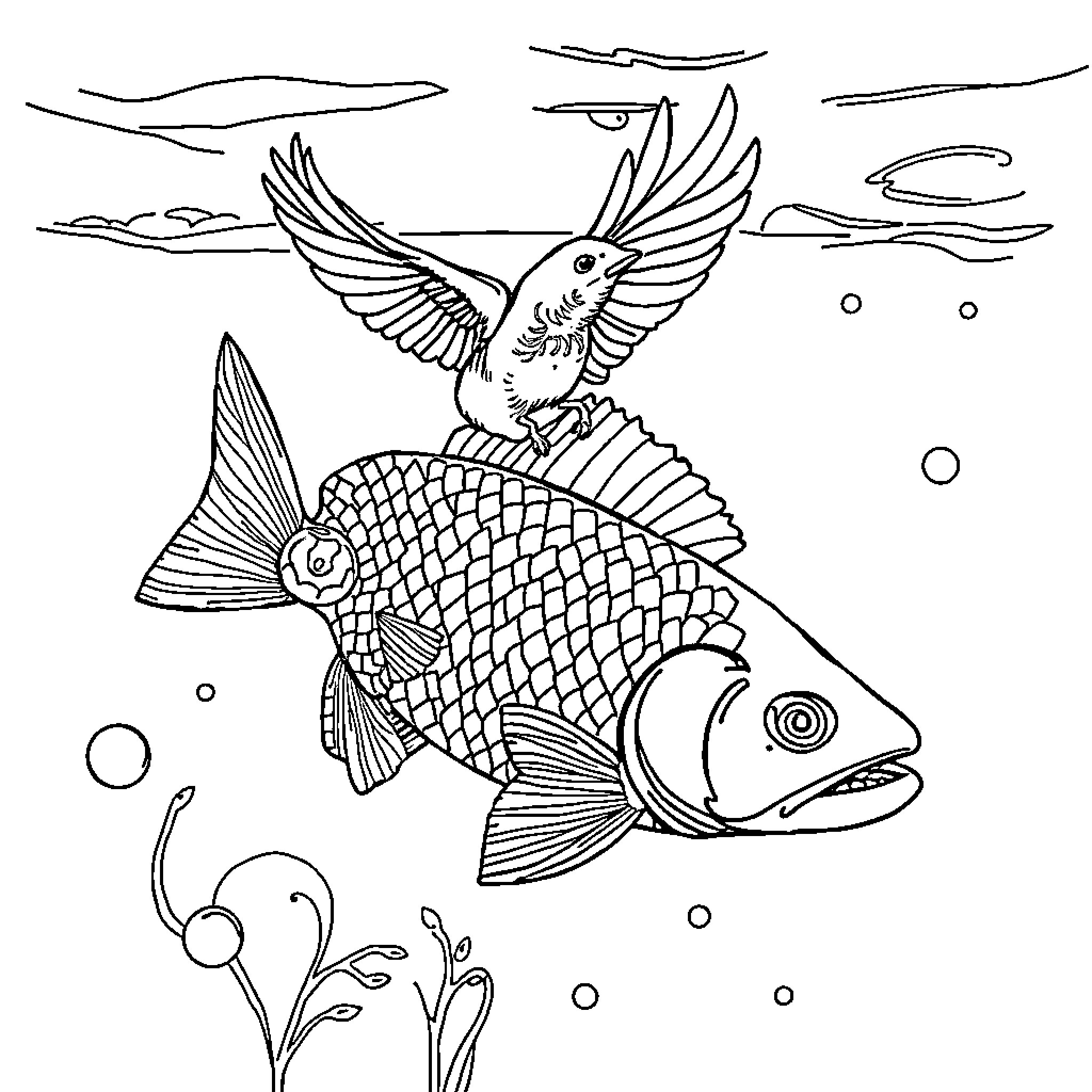 Bird Fish engaging in underwater scene Coloring Page (free black-and-white line drawing printable PDF for all, from beginners to advanced learners, including children, teens, adults, and seniors)