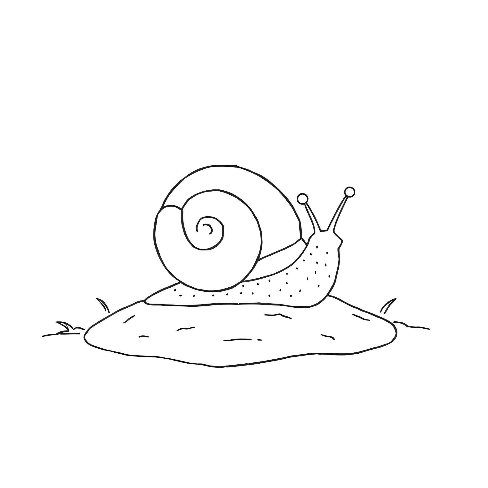 Snail crawling on a grassy mound Coloring Page (free black-and-white line drawing printable PDF for all, from beginners to advanced learners, including children, teens, adults, and seniors)