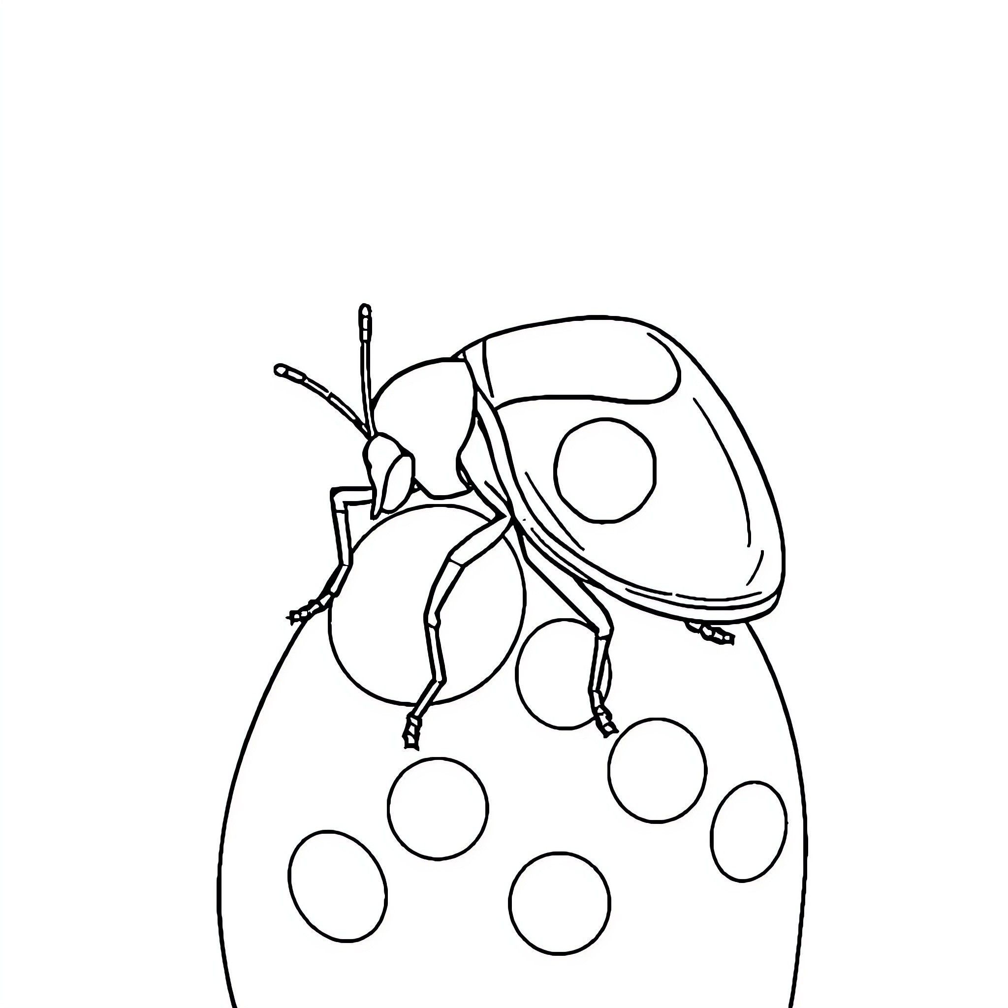 Bug resting on spotted surface Coloring Page (free black-and-white line drawing printable PDF for all, from beginners to advanced learners, including children, teens, adults, and seniors)