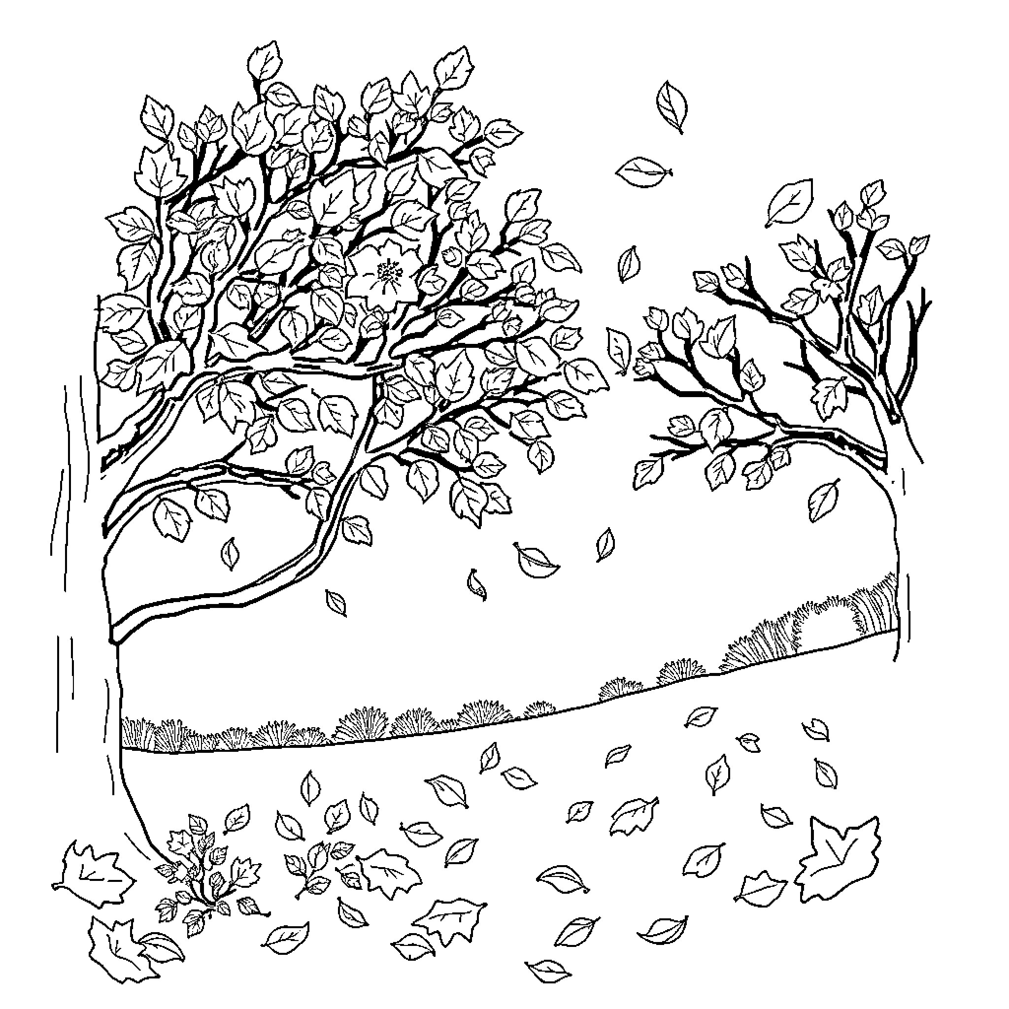 November Leaves Swirling in the Autumn Breeze Coloring Page (free black-and-white line drawing printable PDF for all, from beginners to advanced learners, including children, teens, adults, and seniors)