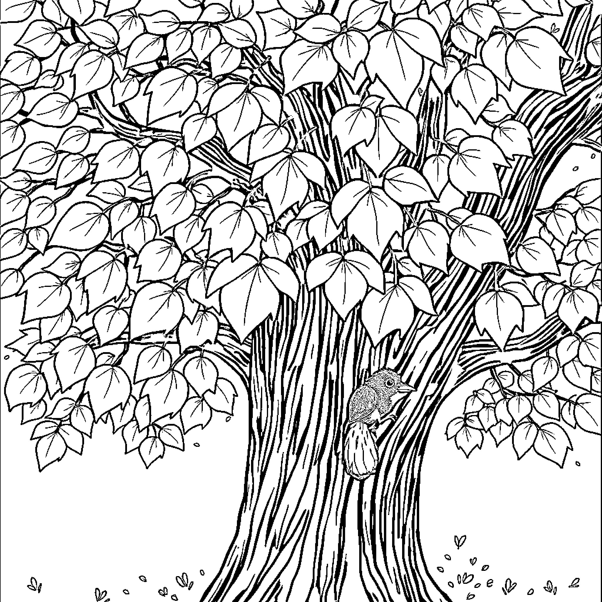 Tree with dense foliage and detailed bark Coloring Page (free black-and-white line drawing printable PDF for all, from beginners to advanced learners, including children, teens, adults, and seniors)
