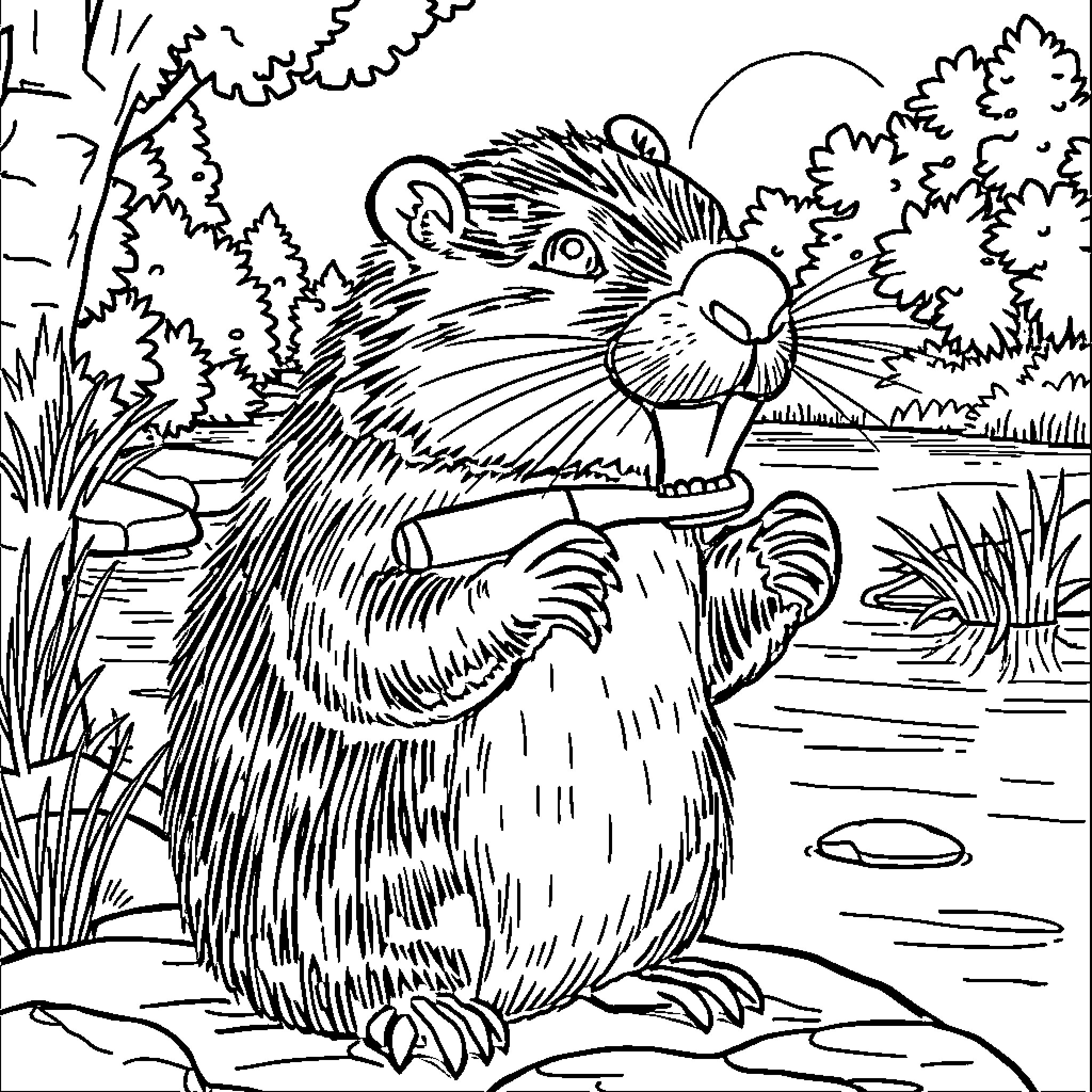 Beaver enjoying the natural surroundings Coloring Page (free black-and-white line drawing printable PDF for all, from beginners to advanced learners, including children, teens, adults, and seniors)