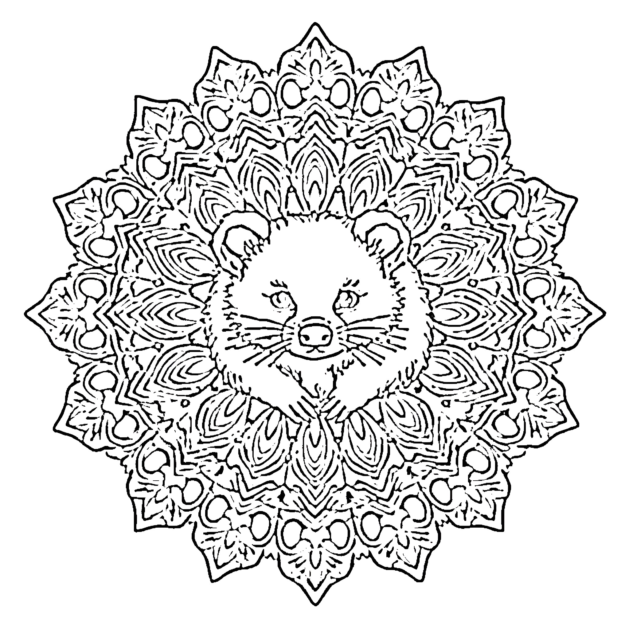 Wombat in Ornate Mandala Illustration Coloring Page (free black-and-white line drawing printable PDF for all, from beginners to advanced learners, including children, teens, adults, and seniors)