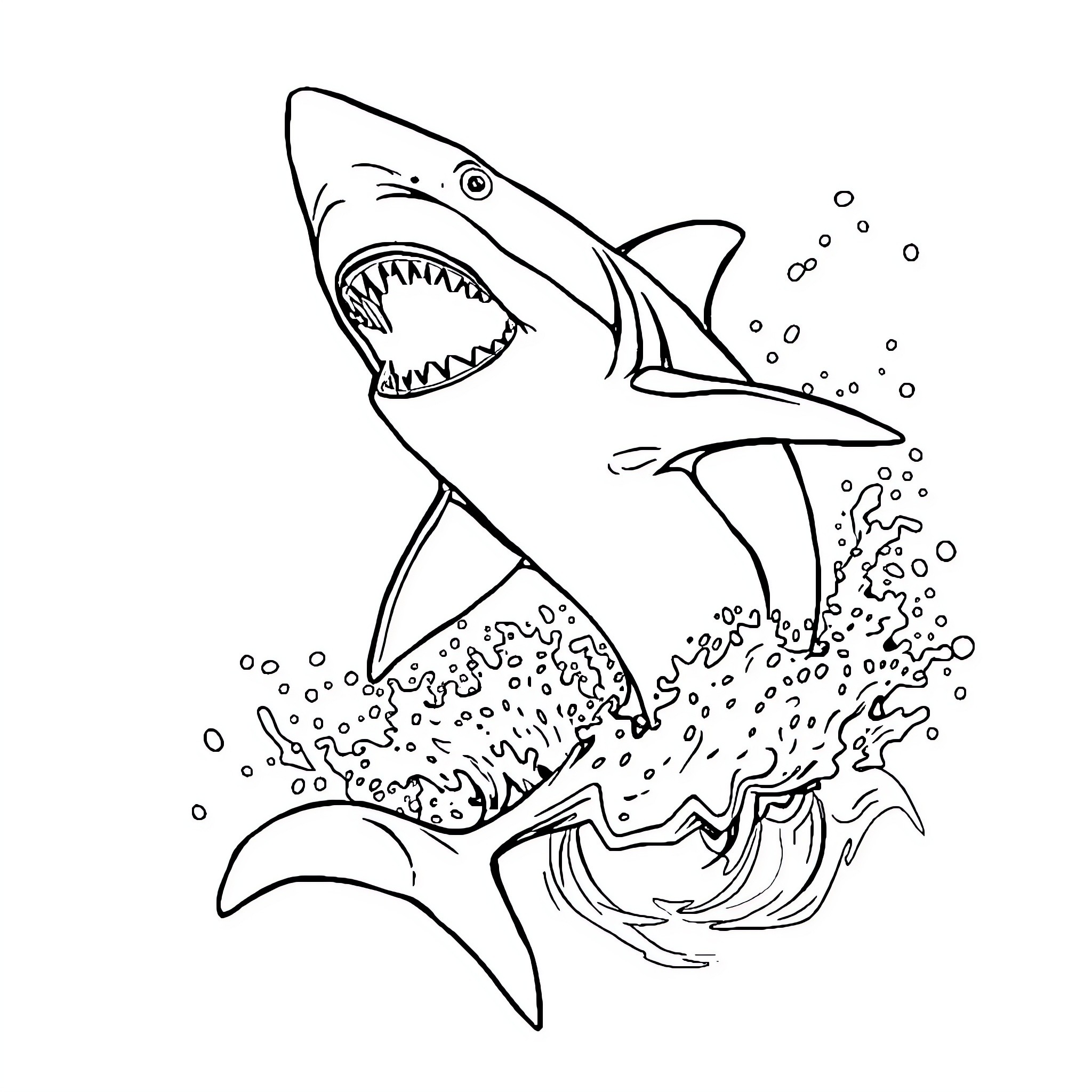 Shark attacking aggressively in the ocean Coloring Page (free black-and-white line drawing printable PDF for all, from beginners to advanced learners, including children, teens, adults, and seniors)