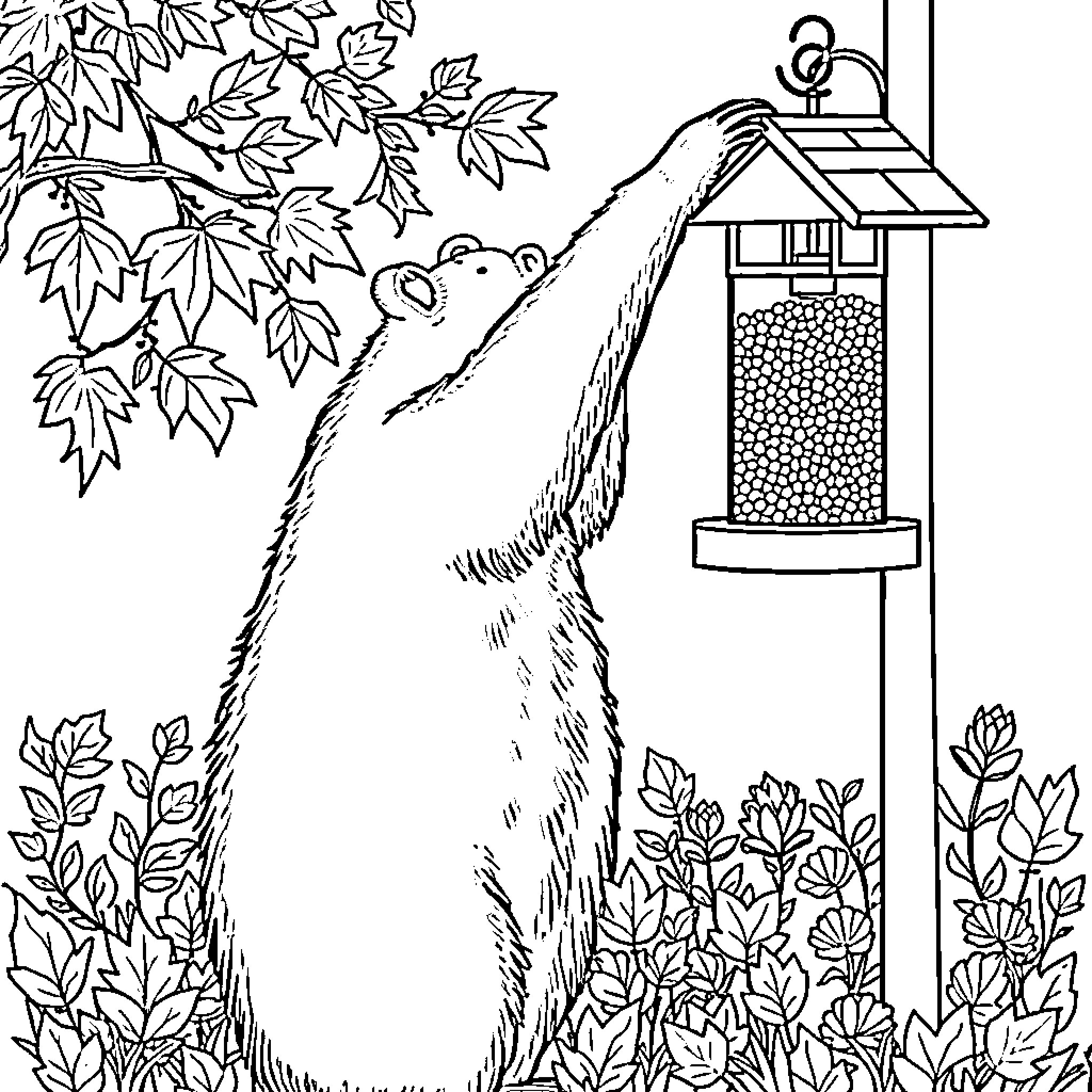 Bear reaching for bird feeder in forest Coloring Page (free black-and-white line drawing printable PDF for all, from beginners to advanced learners, including children, teens, adults, and seniors)