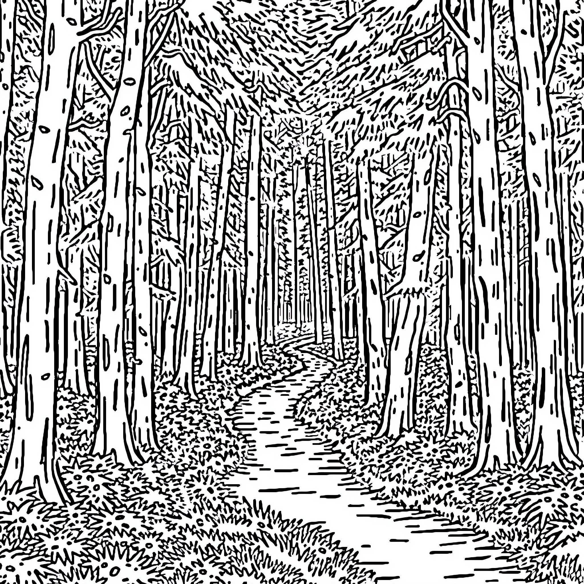 Forest path through dense woodland Coloring Page (free black-and-white line drawing printable PDF for all, from beginners to advanced learners, including children, teens, adults, and seniors)