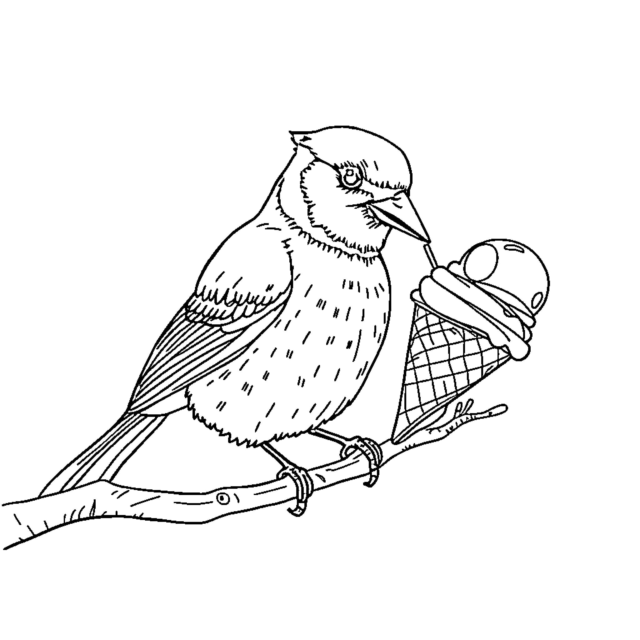 Blue Jay enjoying an ice cream cone Coloring Page (free black-and-white line drawing printable PDF for all, from beginners to advanced learners, including children, teens, adults, and seniors)