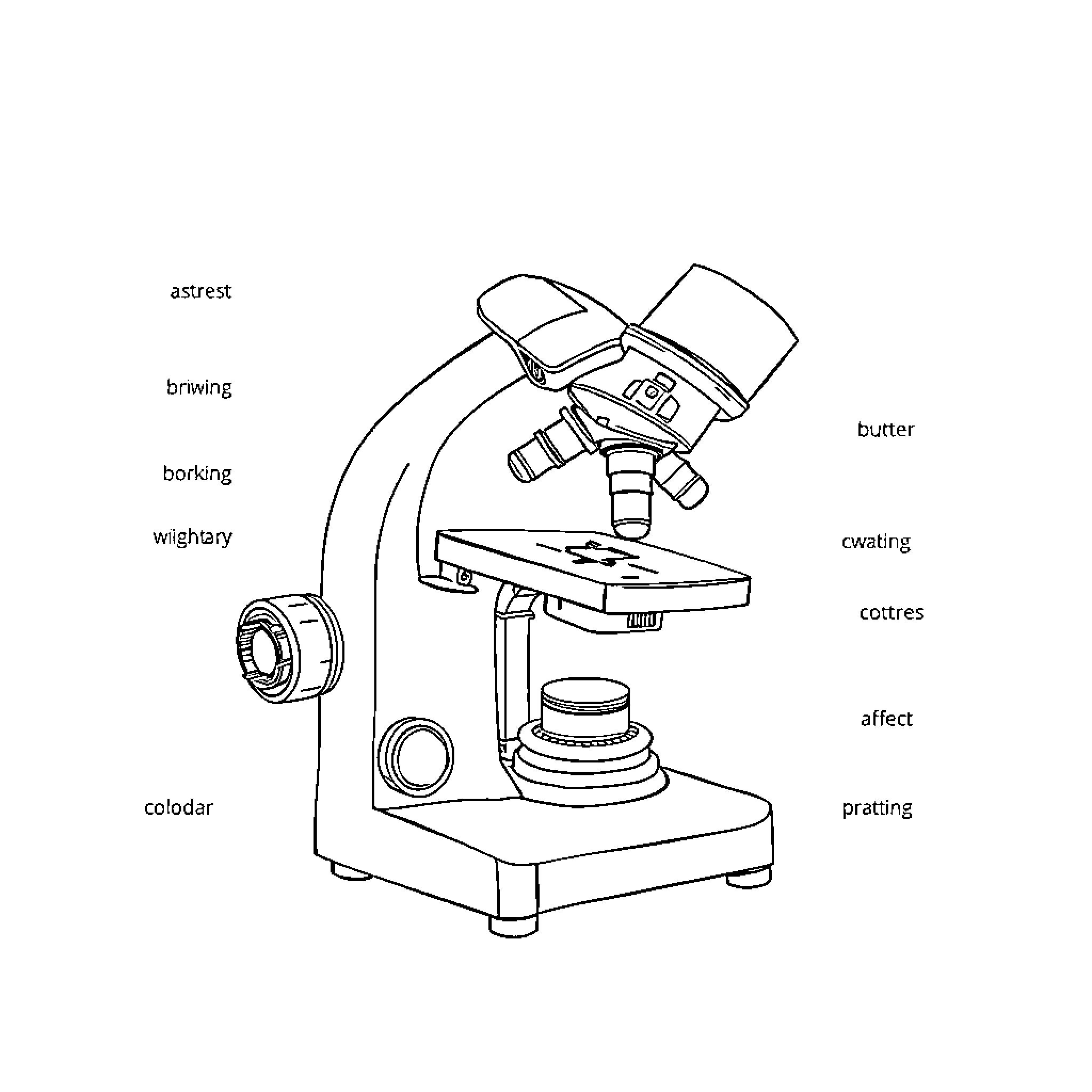 Microscope Examining Intricate Specimen Coloring Page (free black-and-white line drawing printable PDF for all, from beginners to advanced learners, including children, teens, adults, and seniors)