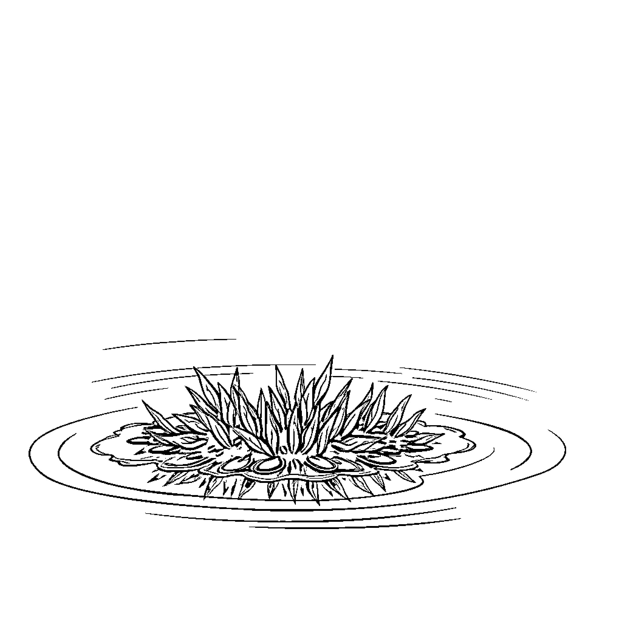Algae floating on water surface Coloring Page (free black-and-white line drawing printable PDF for all, from beginners to advanced learners, including children, teens, adults, and seniors)