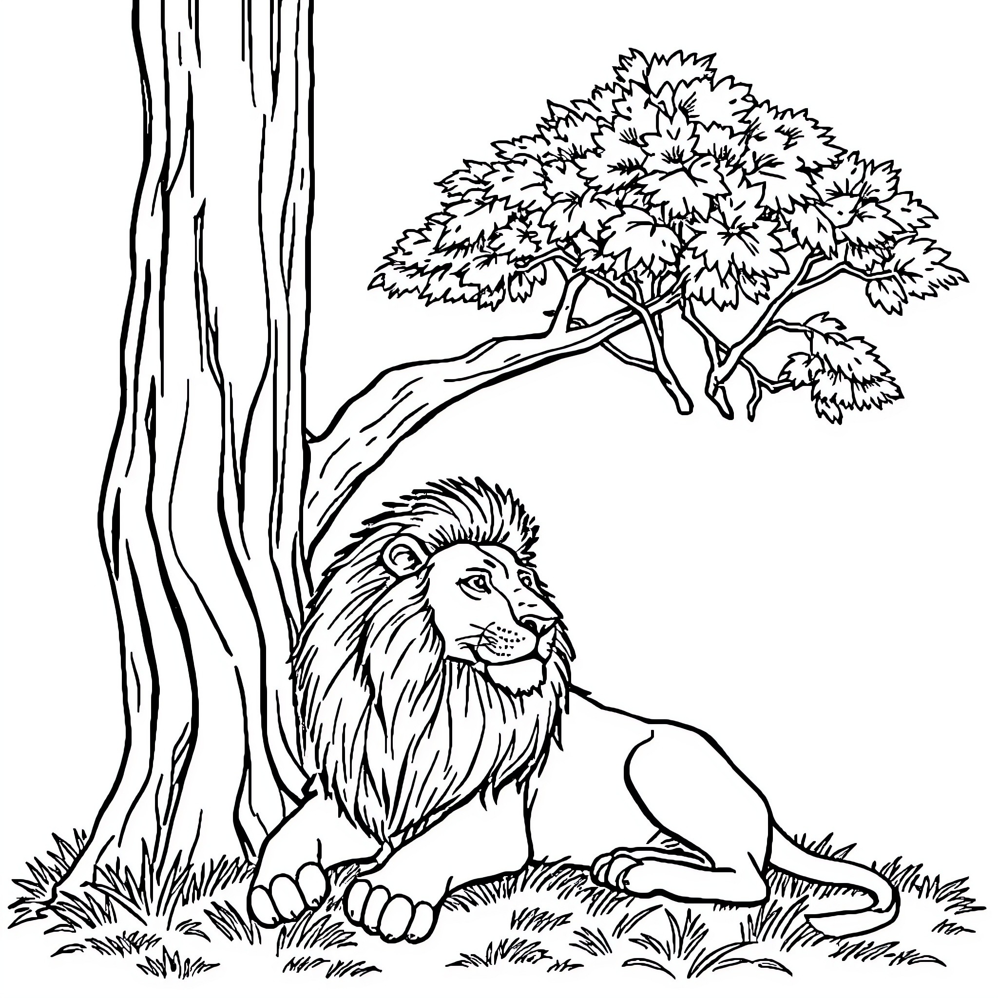 Lion resting peacefully under a tree Coloring Page (free black-and-white line drawing printable PDF for all, from beginners to advanced learners, including children, teens, adults, and seniors)