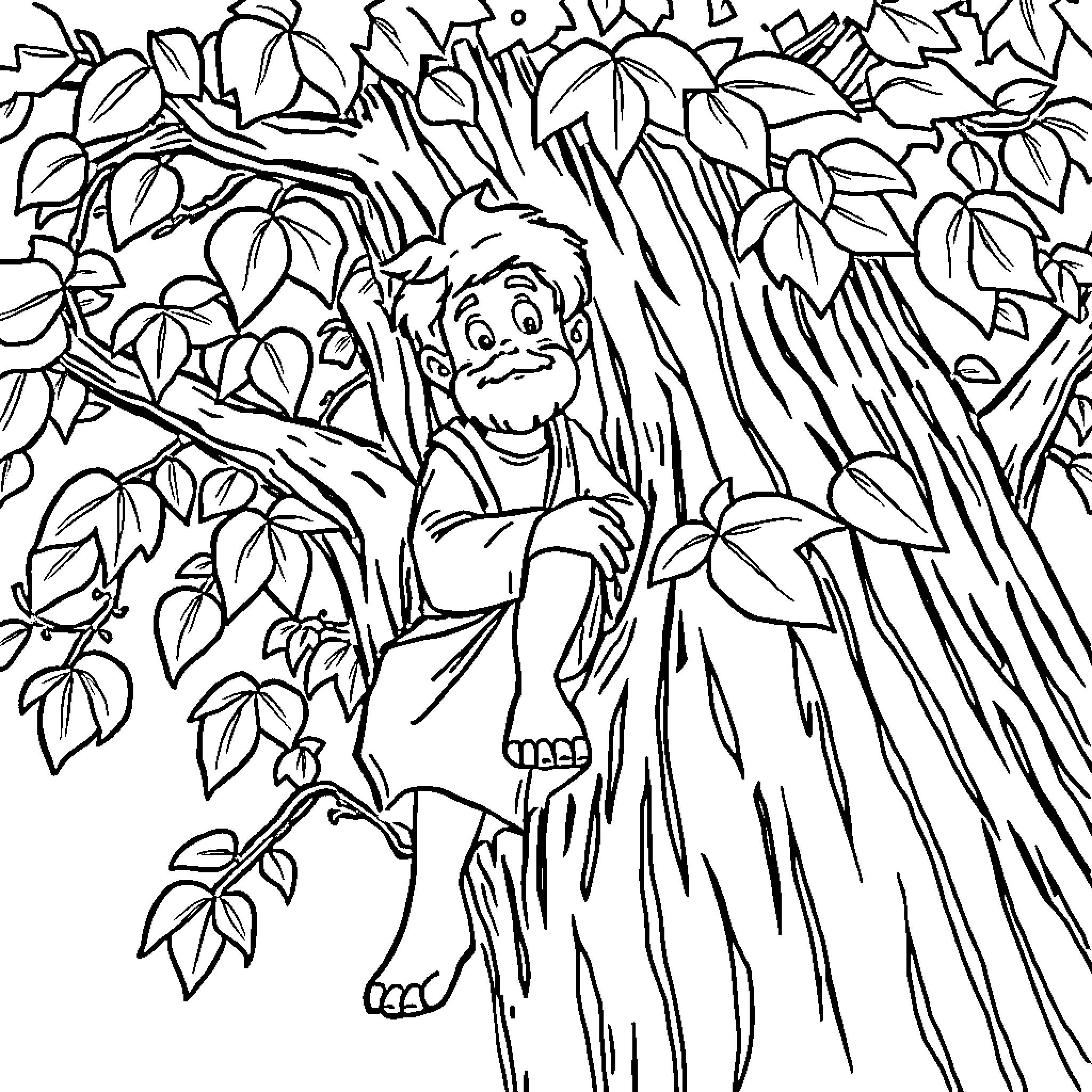 Zaccheus Climbing a Tree to See Jesus Coloring Page (free black-and-white line drawing printable PDF for all, from beginners to advanced learners, including children, teens, adults, and seniors)