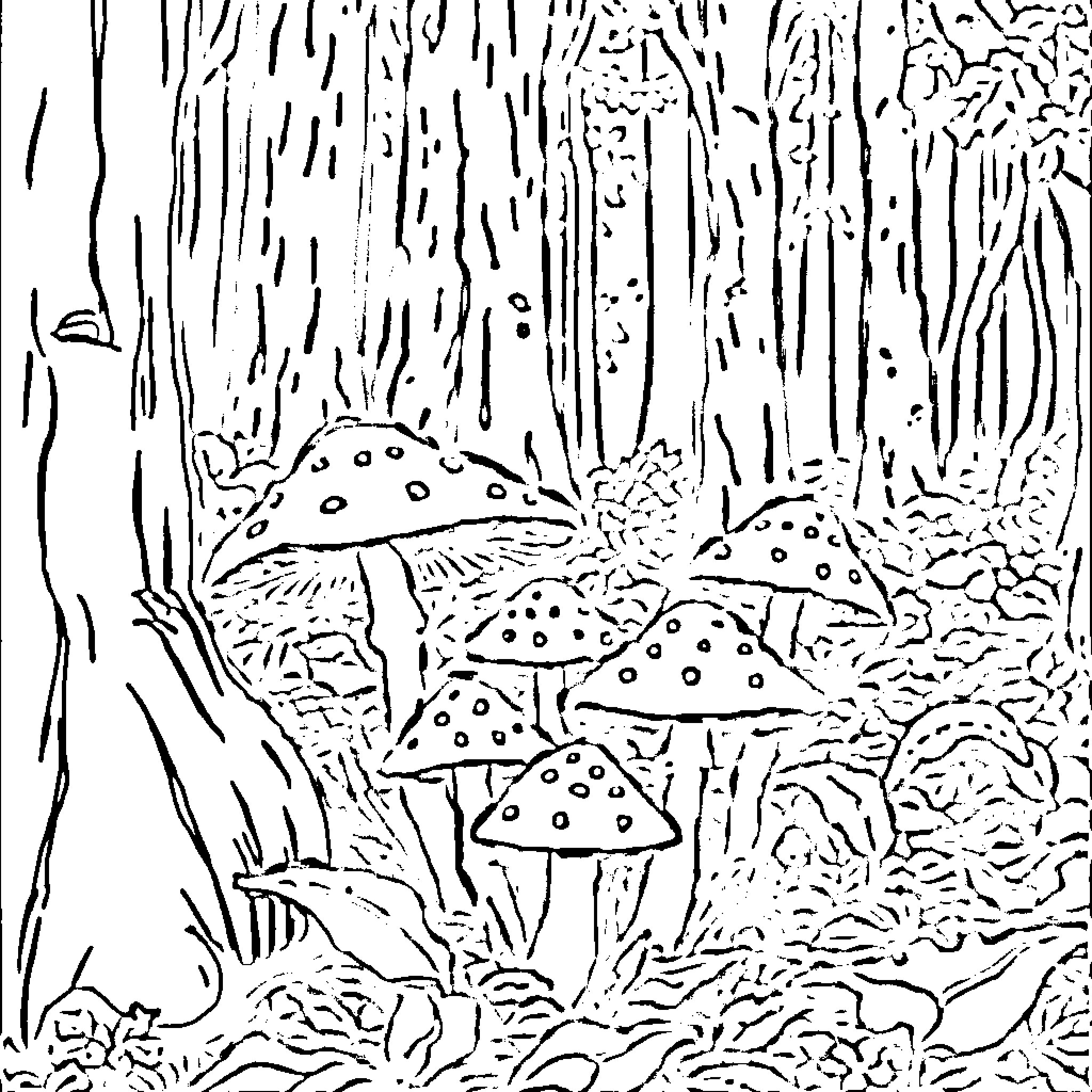 Mushroom forest scene with whimsical mushrooms Coloring Page (free black-and-white line drawing printable PDF for all, from beginners to advanced learners, including children, teens, adults, and seniors)