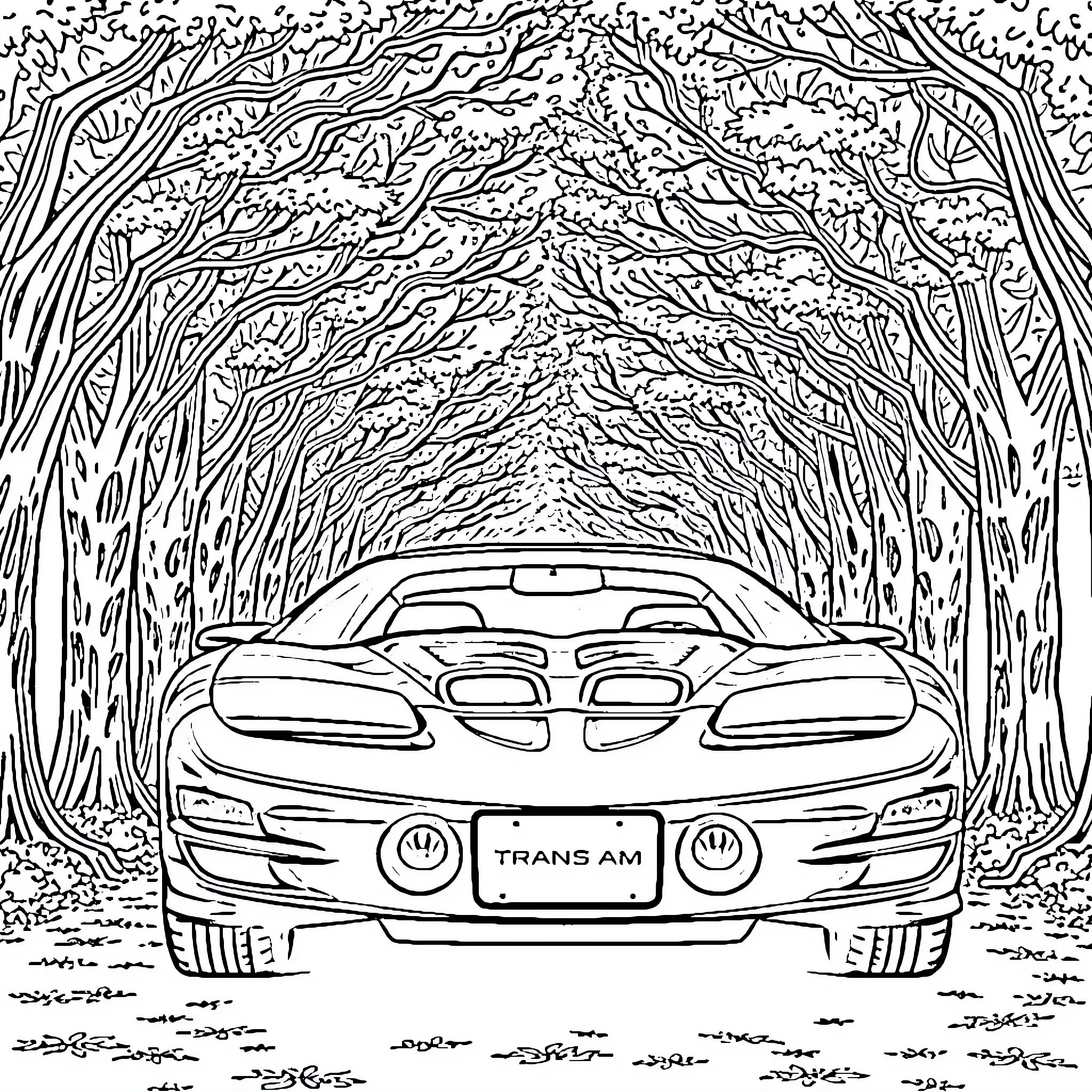 Transam driving through enchanted forest Coloring Page (free black-and-white line drawing printable PDF for all, from beginners to advanced learners, including children, teens, adults, and seniors)