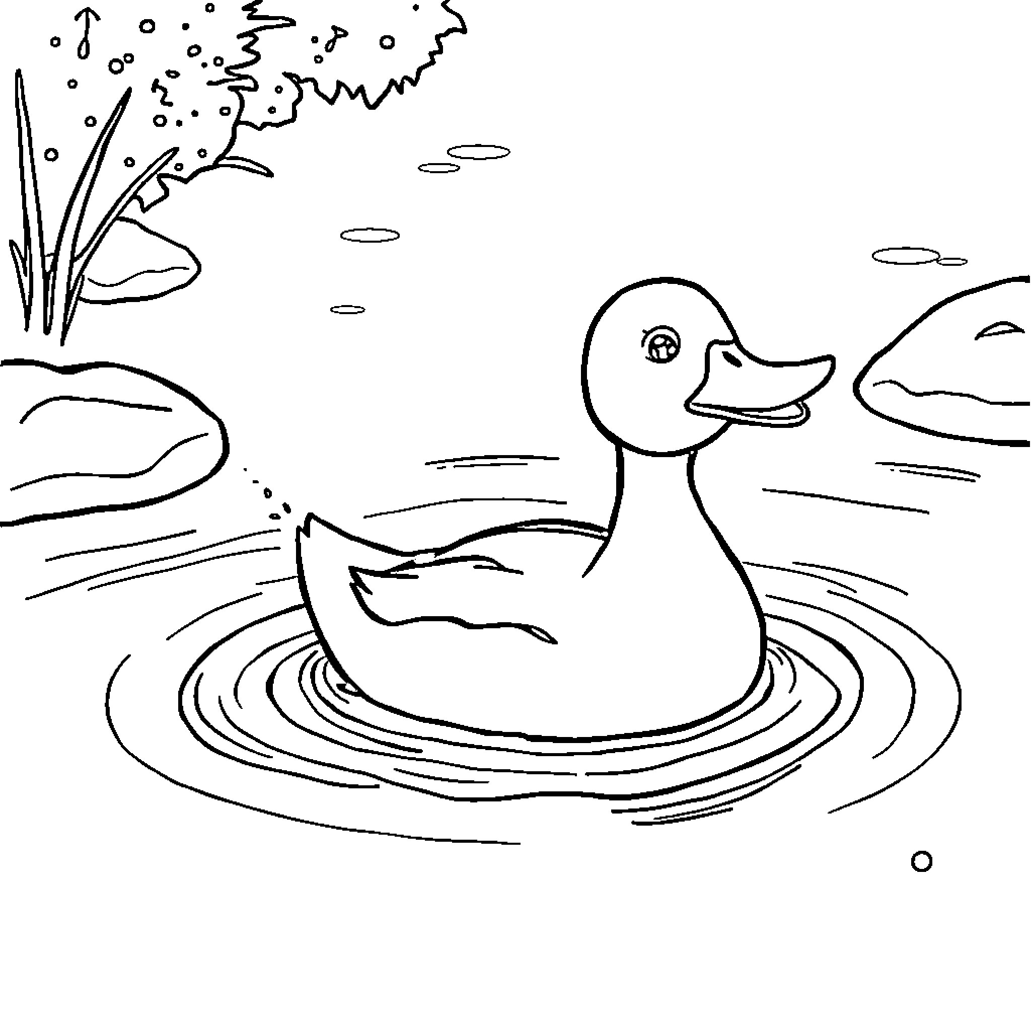 Duck swimming peacefully in the pond Coloring Page (free black-and-white line drawing printable PDF for all, from beginners to advanced learners, including children, teens, adults, and seniors)