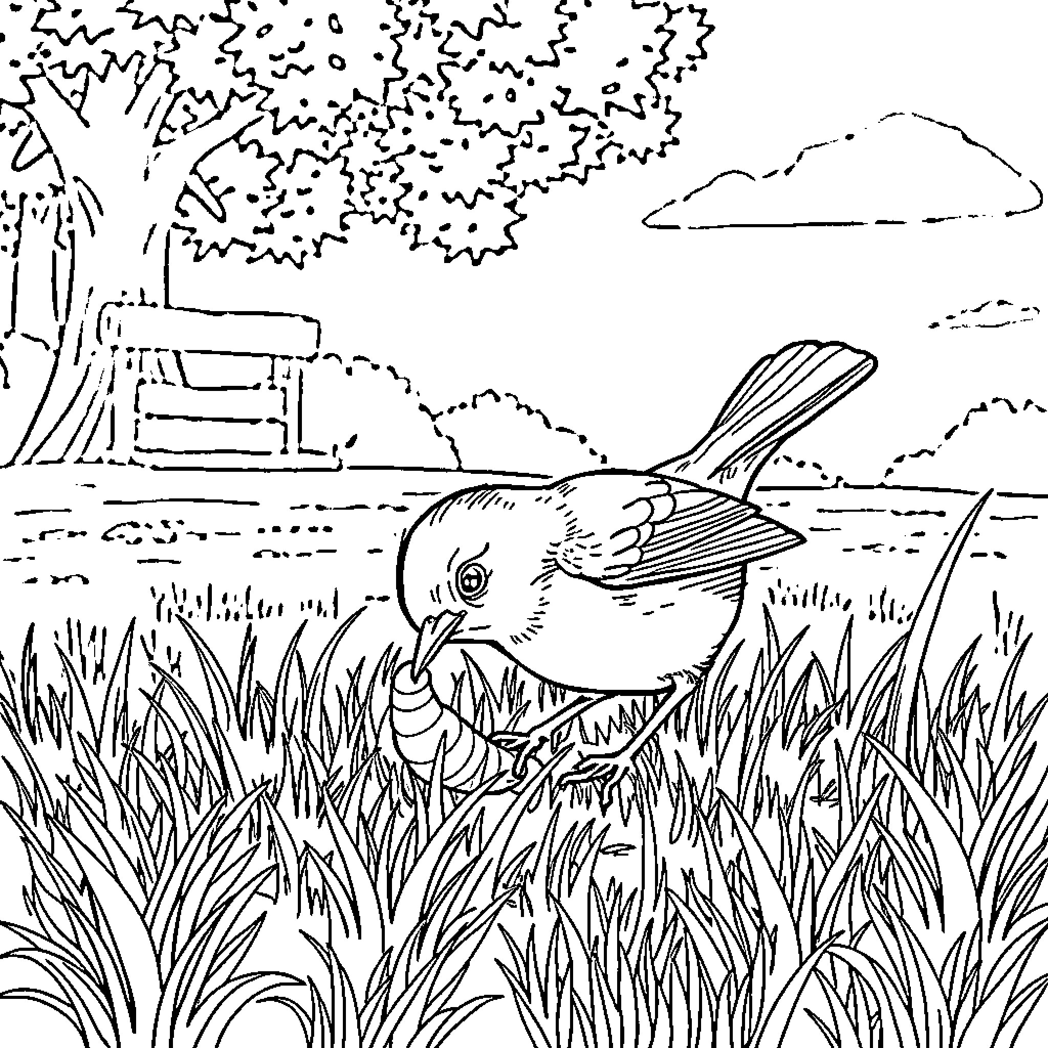 Bird resting in the grassy landscape Coloring Page (free black-and-white line drawing printable PDF for all, from beginners to advanced learners, including children, teens, adults, and seniors)