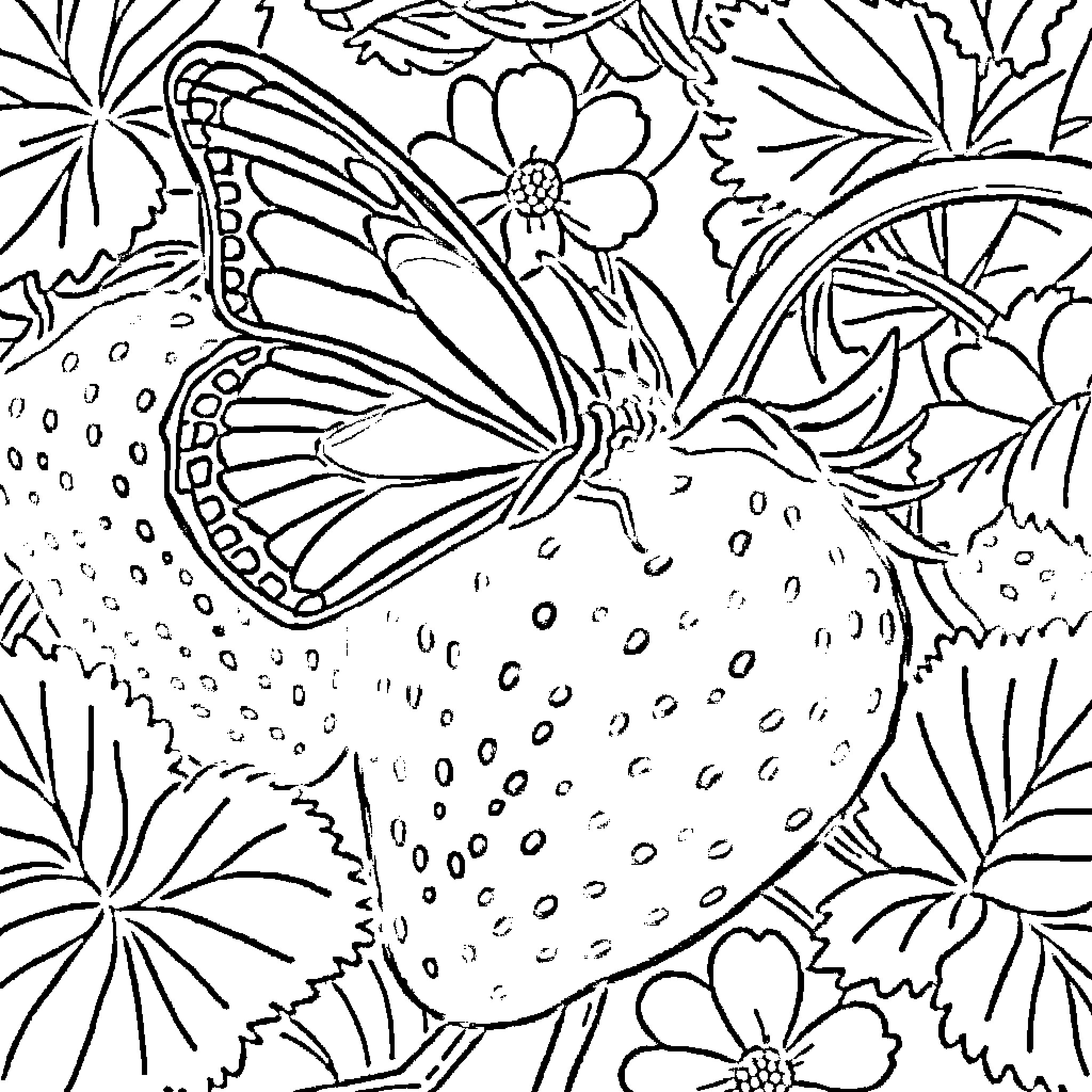Butterfly resting on a floral background Coloring Page (free black-and-white line drawing printable PDF for all, from beginners to advanced learners, including children, teens, adults, and seniors)