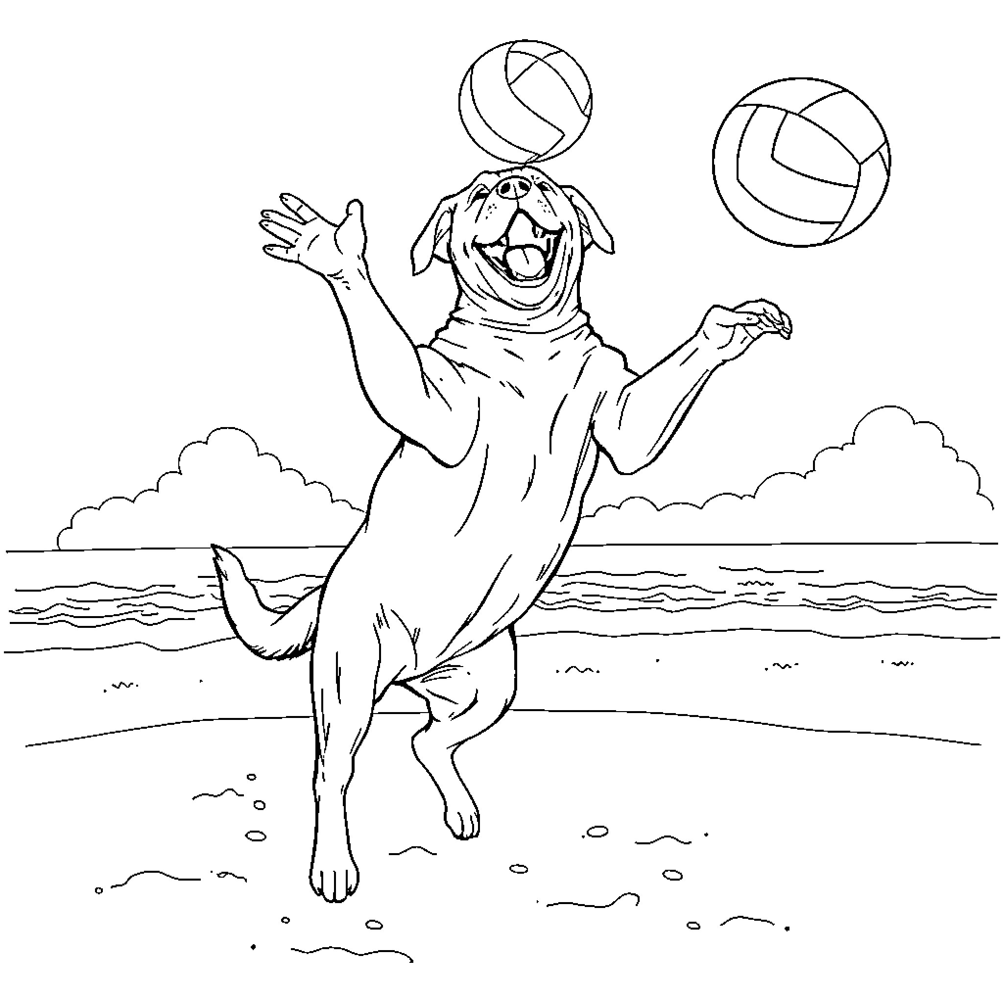 Labrador enjoying playful beach volleyball Coloring Page (free black-and-white line drawing printable PDF for all, from beginners to advanced learners, including children, teens, adults, and seniors)