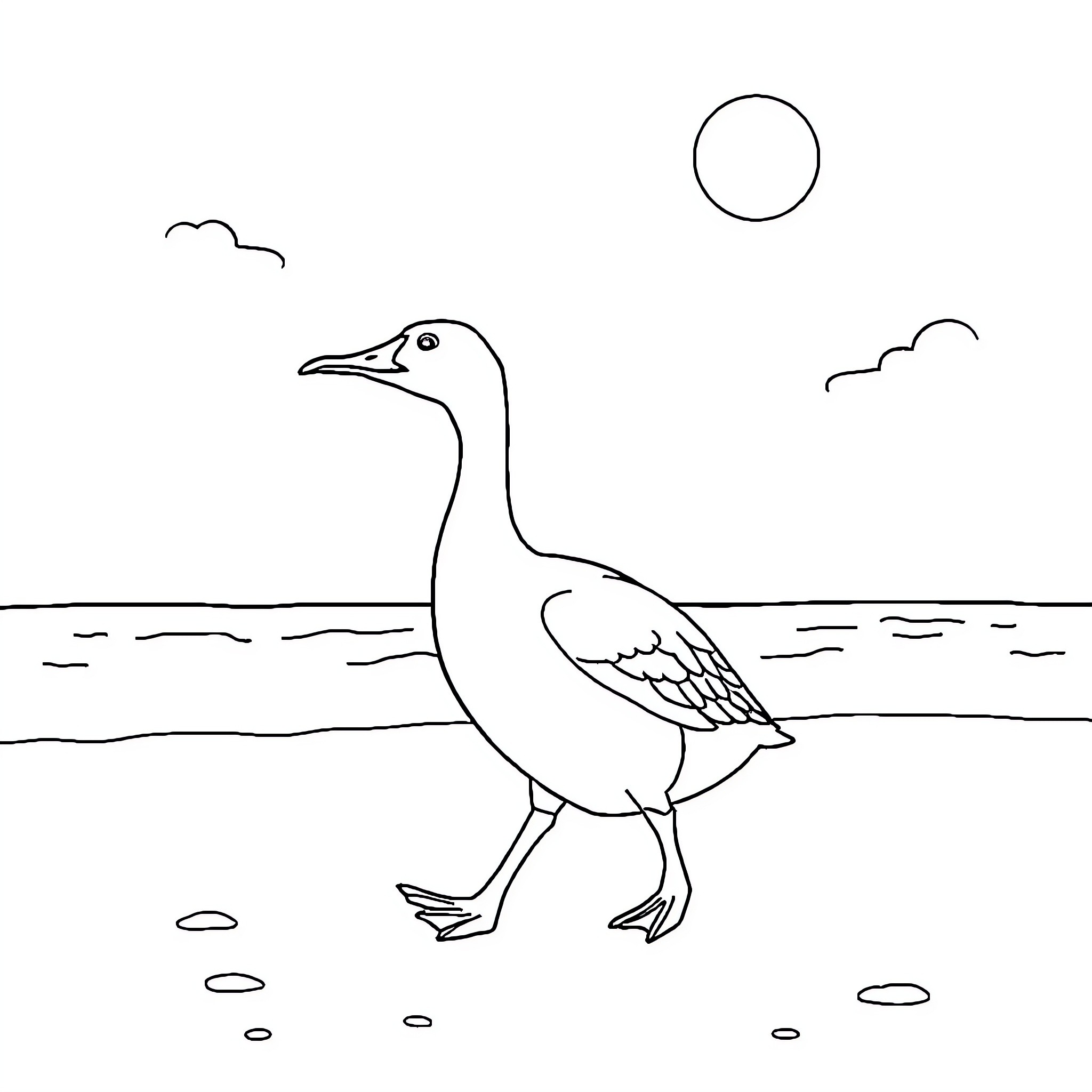 Duck walking on beach under sunny sky Coloring Page (free black-and-white line drawing printable PDF for all, from beginners to advanced learners, including children, teens, adults, and seniors)