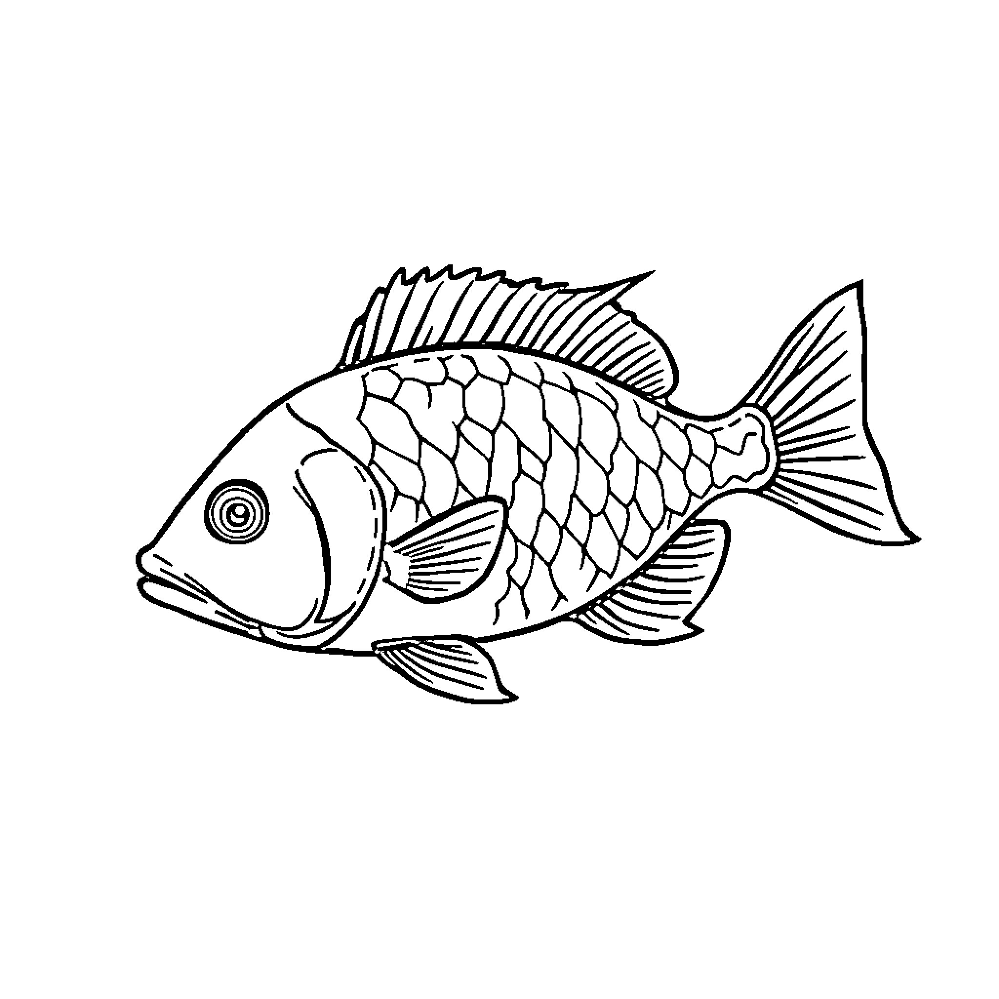 Fish swimming playfully in the water Coloring Page (free black-and-white line drawing printable PDF for all, from beginners to advanced learners, including children, teens, adults, and seniors)