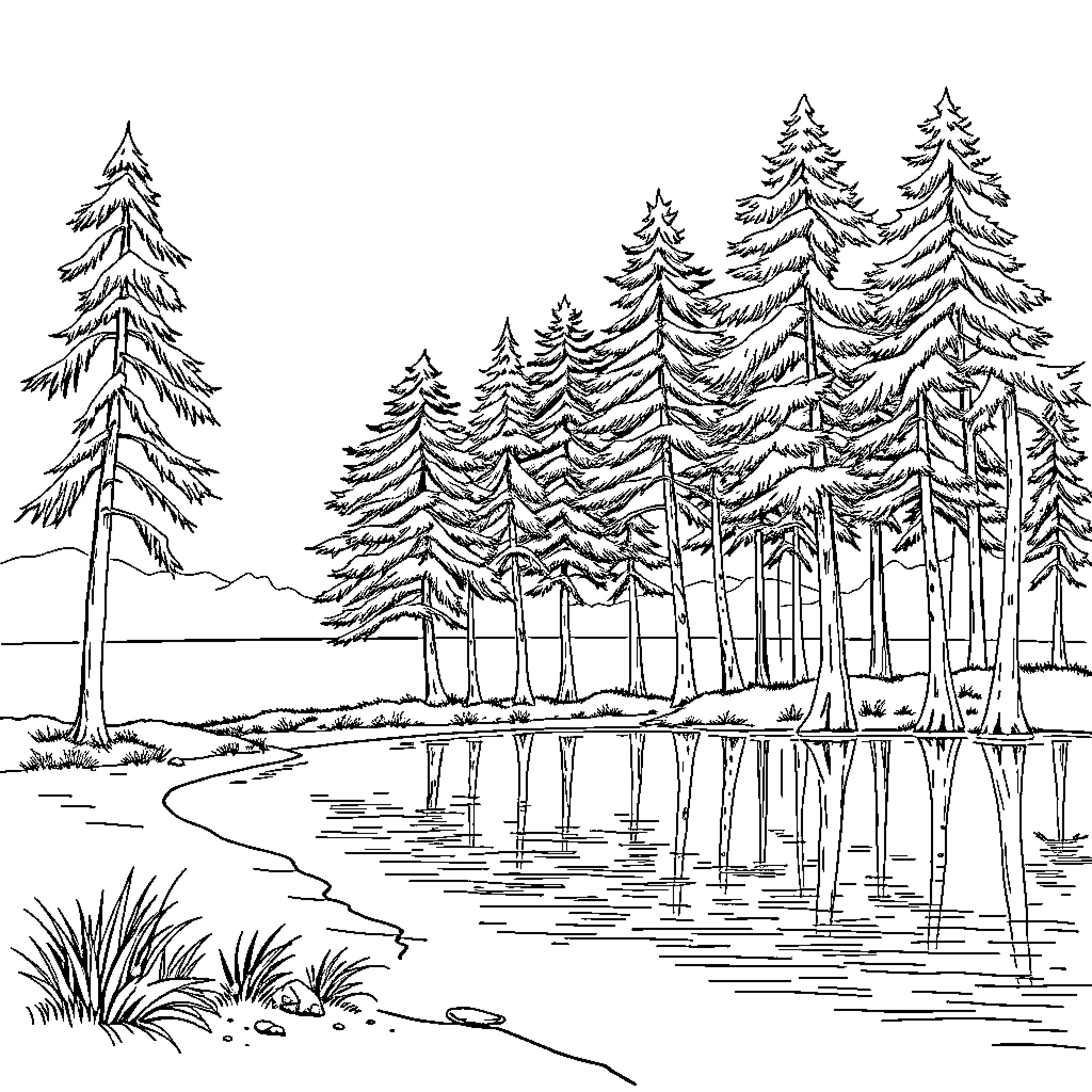 Lake surrounded by snowy pine trees Coloring Page (free black-and-white line drawing printable PDF for all, from beginners to advanced learners, including children, teens, adults, and seniors)