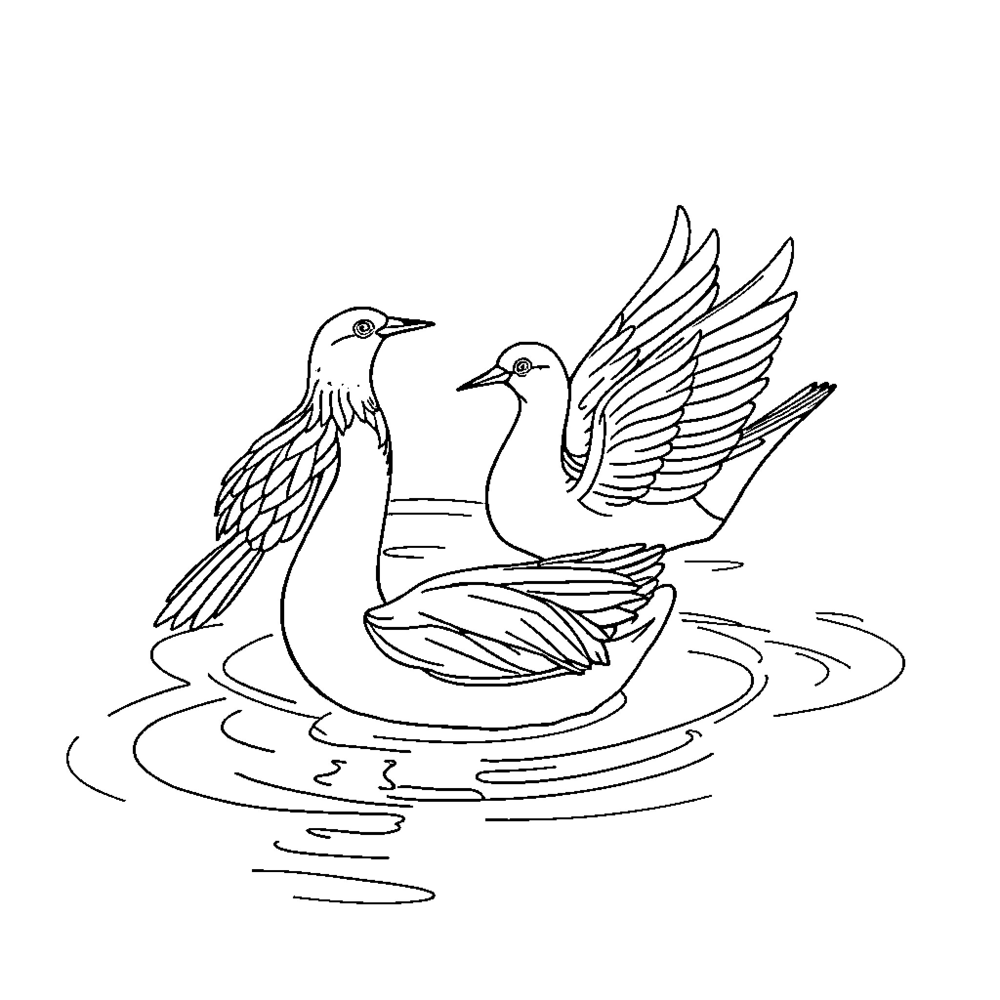 Birds swimming gracefully in the water Coloring Page (free black-and-white line drawing printable PDF for all, from beginners to advanced learners, including children, teens, adults, and seniors)