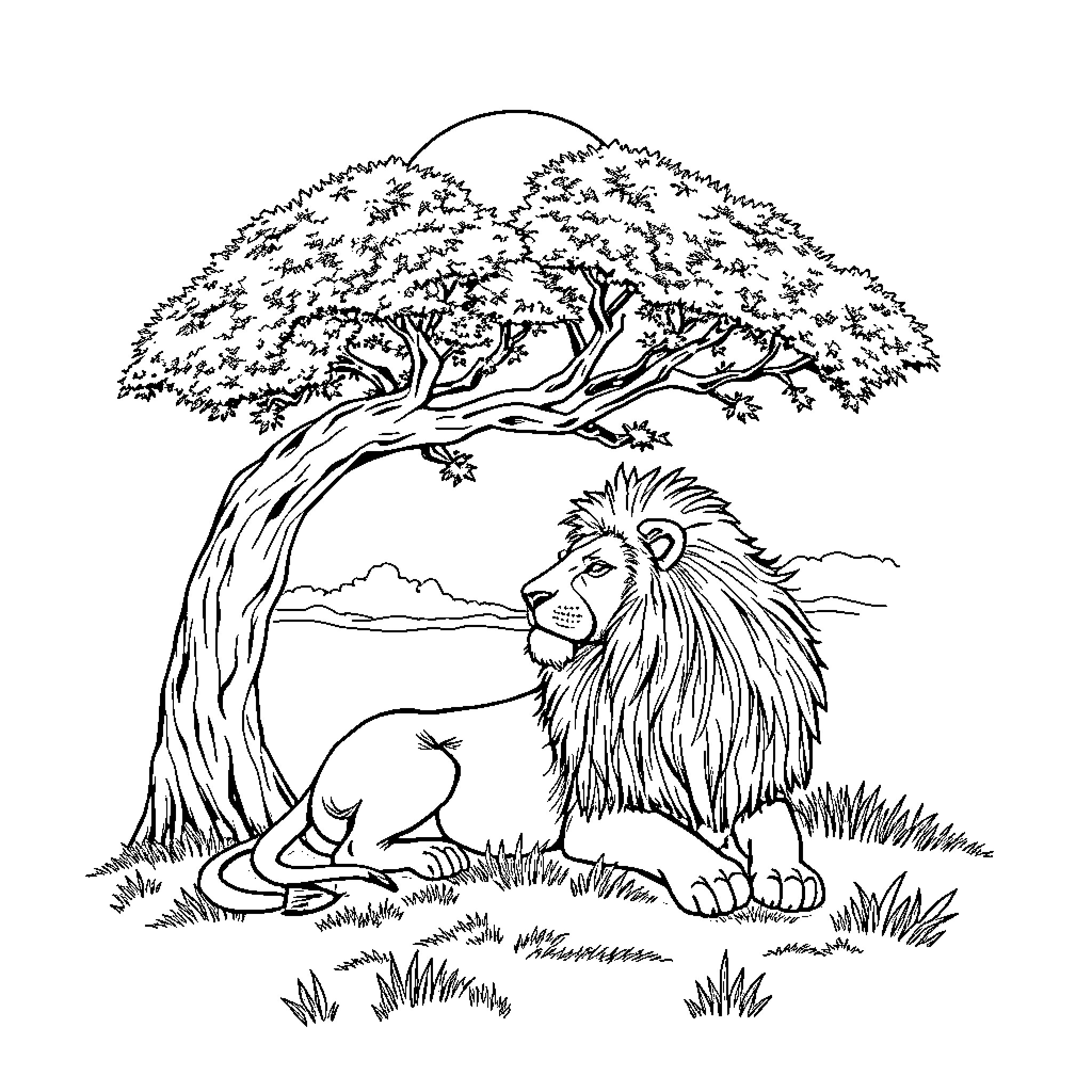 Lion resting peacefully under a grand tree Coloring Page (free black-and-white line drawing printable PDF for all, from beginners to advanced learners, including children, teens, adults, and seniors)