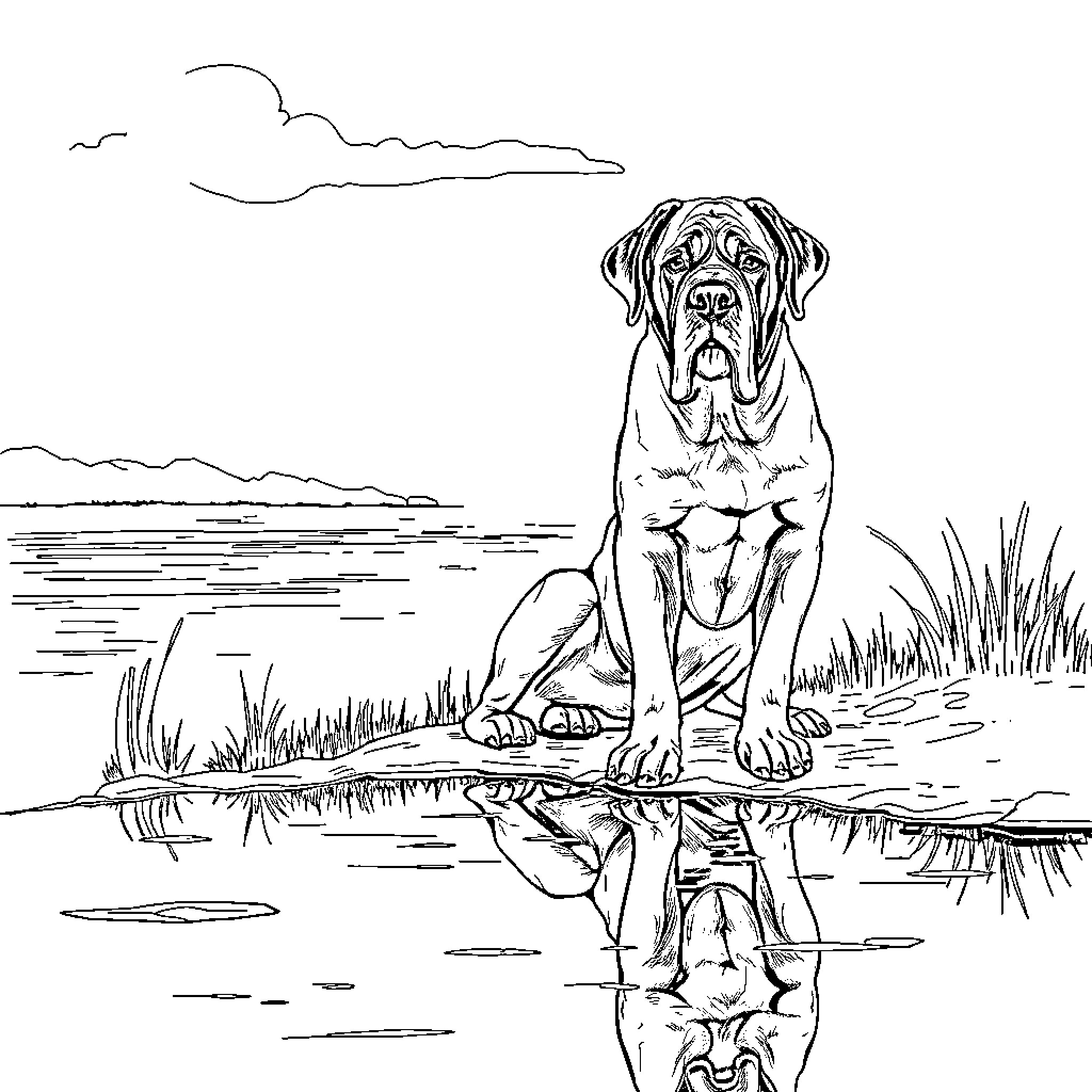 Mastiff contemplating by the lake Coloring Page (free black-and-white line drawing printable PDF for all, from beginners to advanced learners, including children, teens, adults, and seniors)