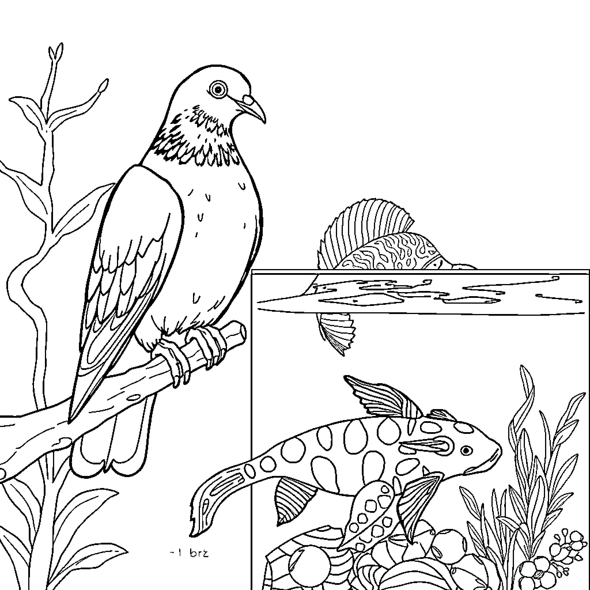 Pigeon perched on branch observing aquatic life Coloring Page (free black-and-white line drawing printable PDF for all, from beginners to advanced learners, including children, teens, adults, and seniors)
