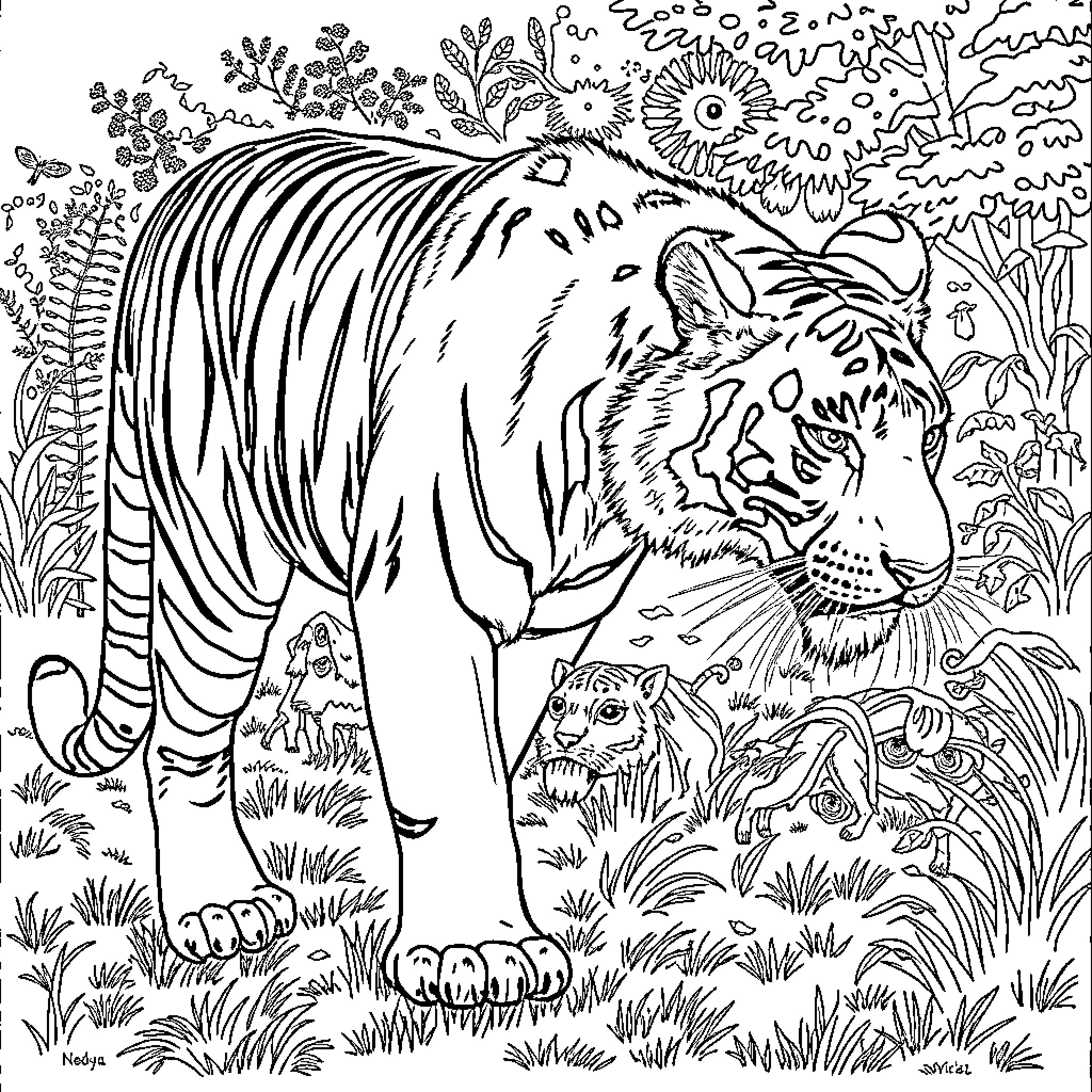 Tiger family in the wild nature Coloring Page (free black-and-white line drawing printable PDF for all, from beginners to advanced learners, including children, teens, adults, and seniors)