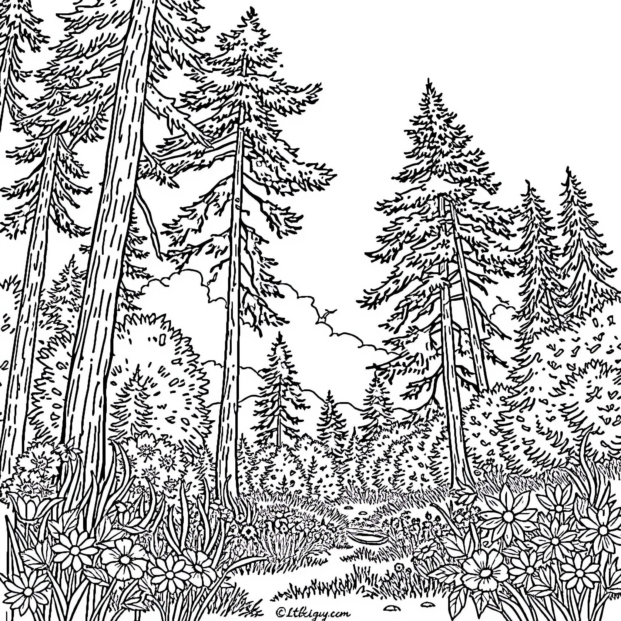 Nature's Enchanting Forest Landscape Coloring Page (free black-and-white line drawing printable PDF for all, from beginners to advanced learners, including children, teens, adults, and seniors)