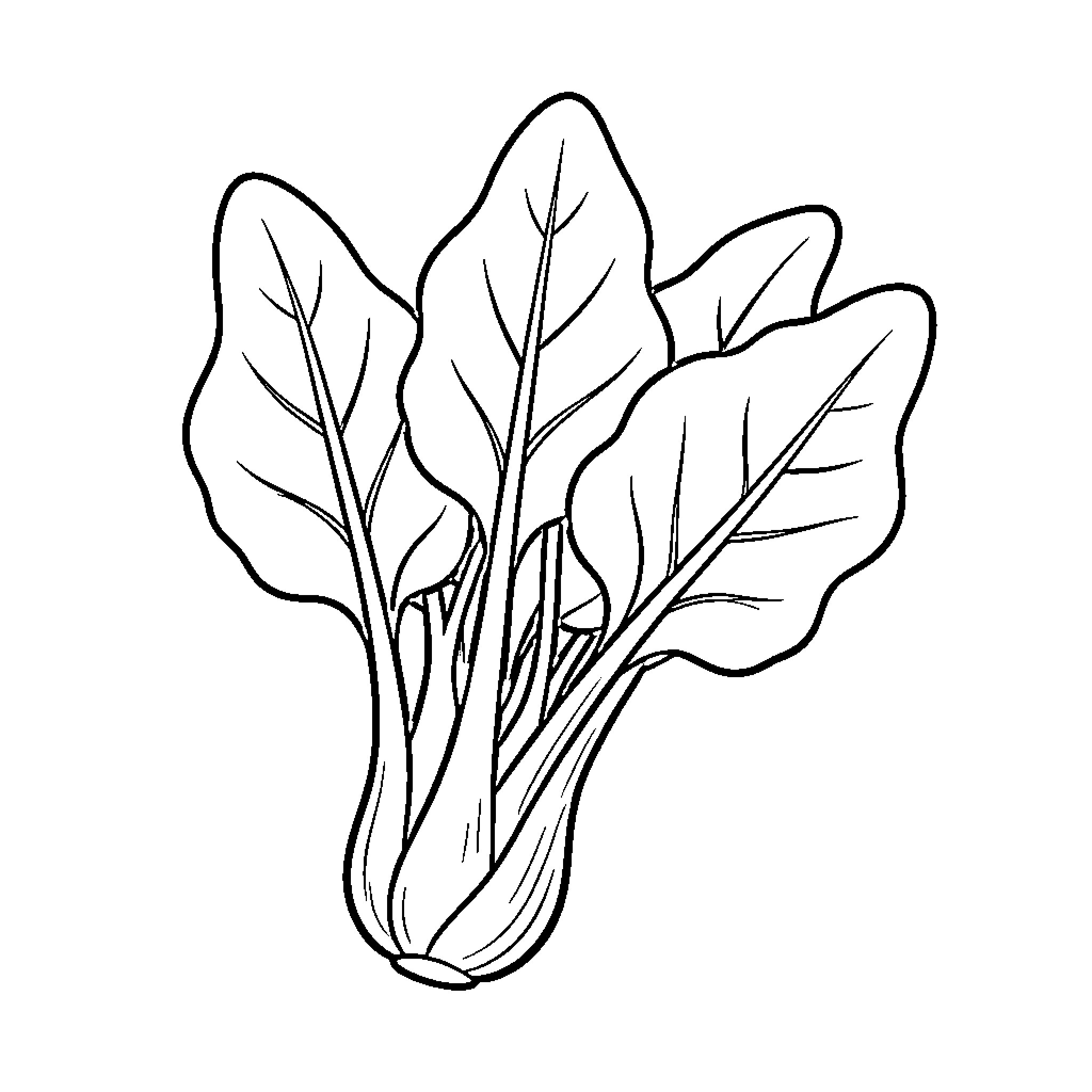 Vegetable bunch with detailed leaves Coloring Page (free black-and-white line drawing printable PDF for all, from beginners to advanced learners, including children, teens, adults, and seniors)