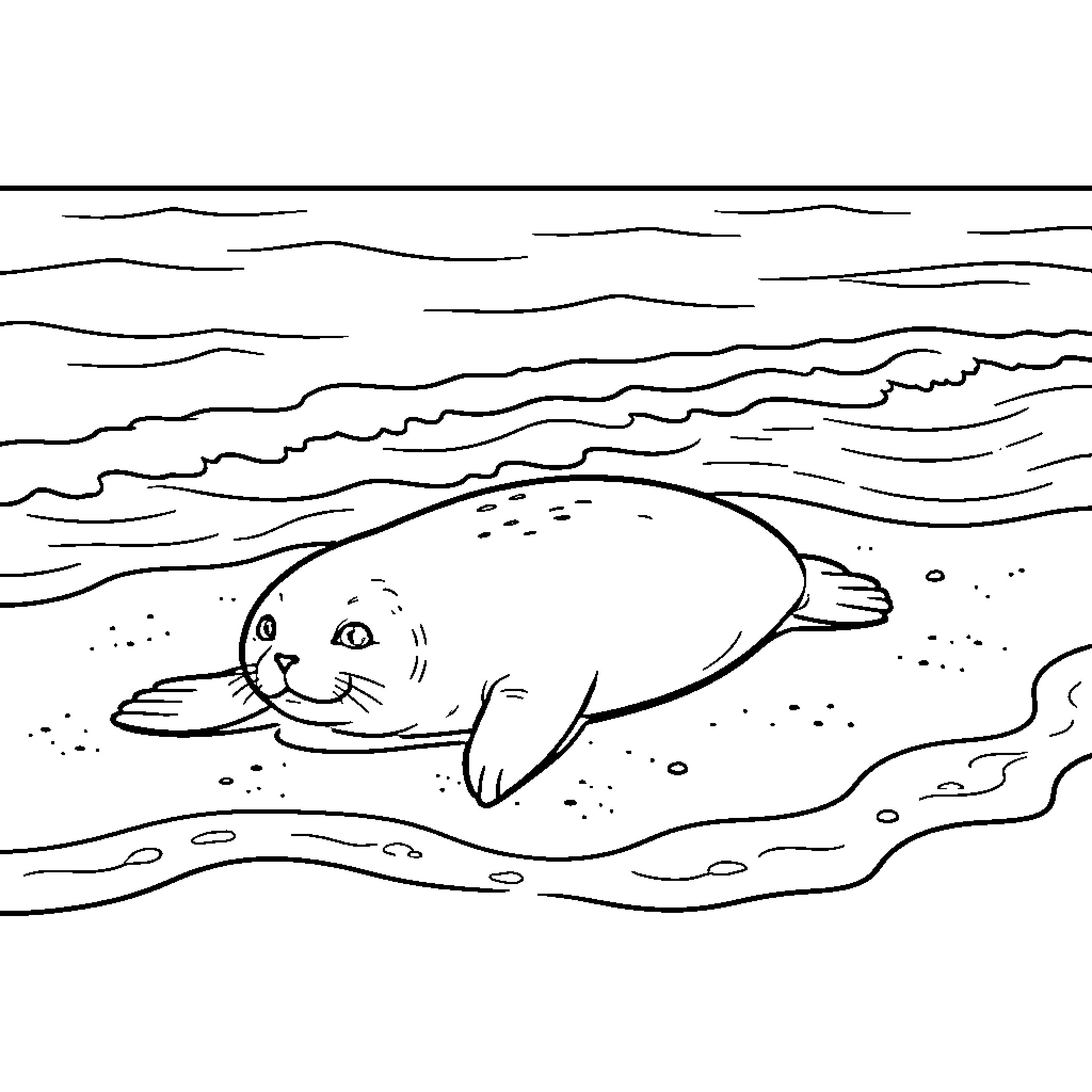 Seal resting peacefully on the beach Coloring Page (free black-and-white line drawing printable PDF for all, from beginners to advanced learners, including children, teens, adults, and seniors)