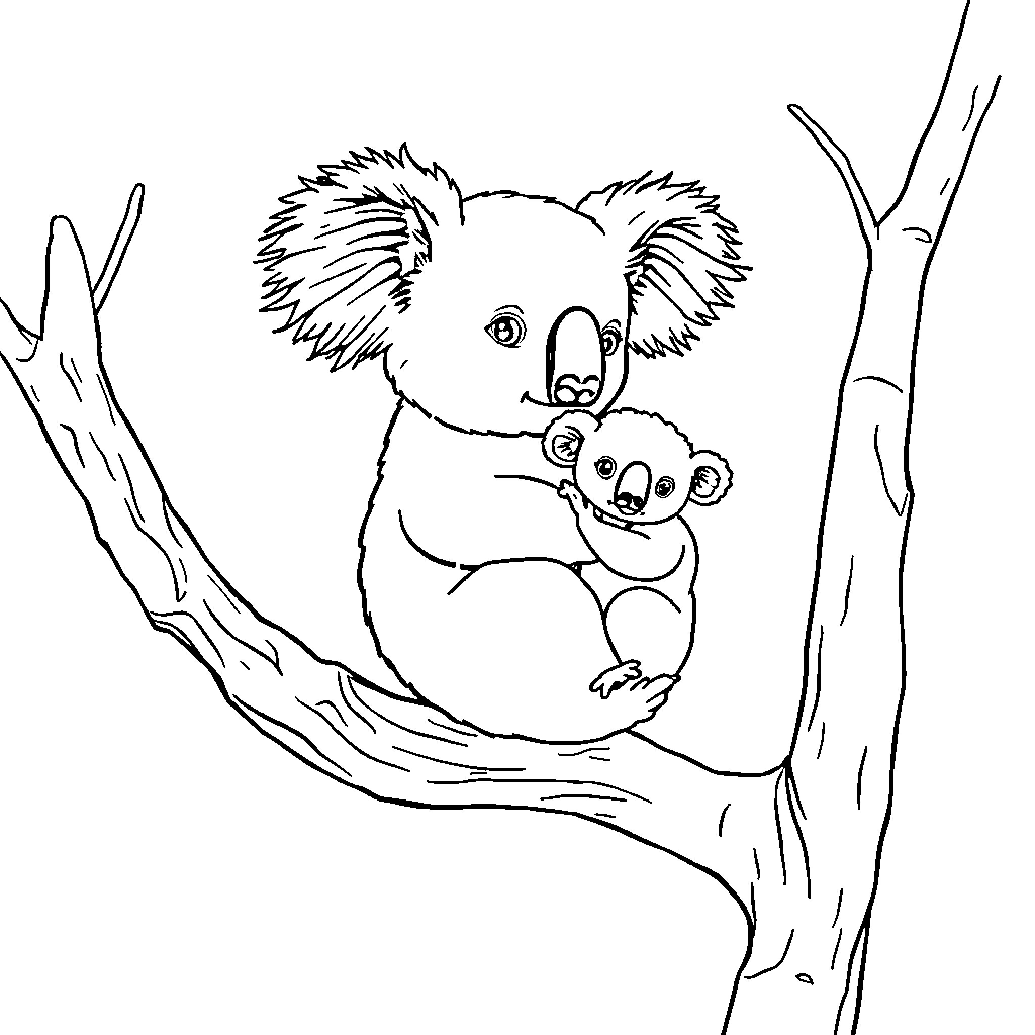 Koala mother and baby sitting on a tree branch Coloring Page (free black-and-white line drawing printable PDF for all, from beginners to advanced learners, including children, teens, adults, and seniors)