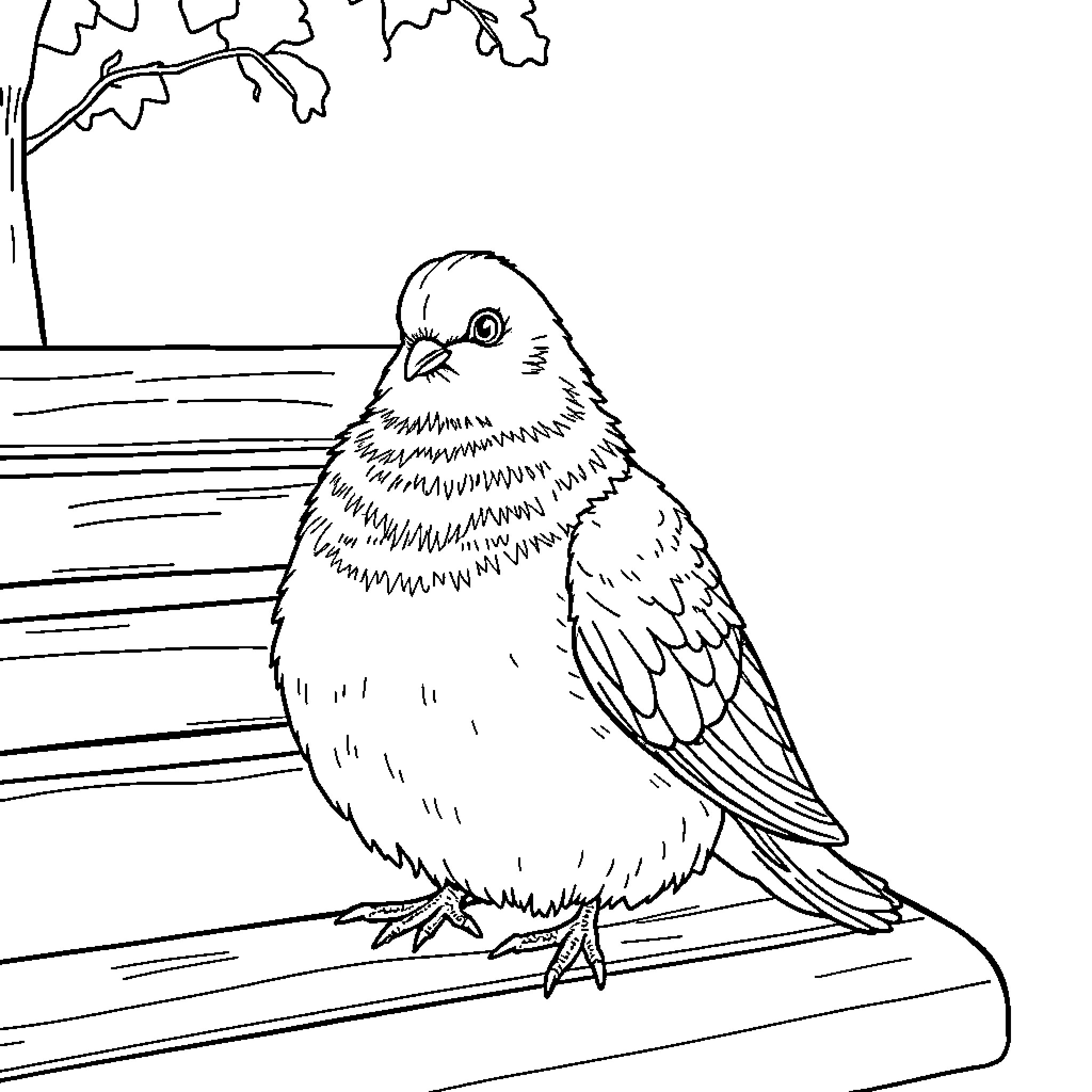 Pigeon perched on a ledge Coloring Page (free black-and-white line drawing printable PDF for all, from beginners to advanced learners, including children, teens, adults, and seniors)