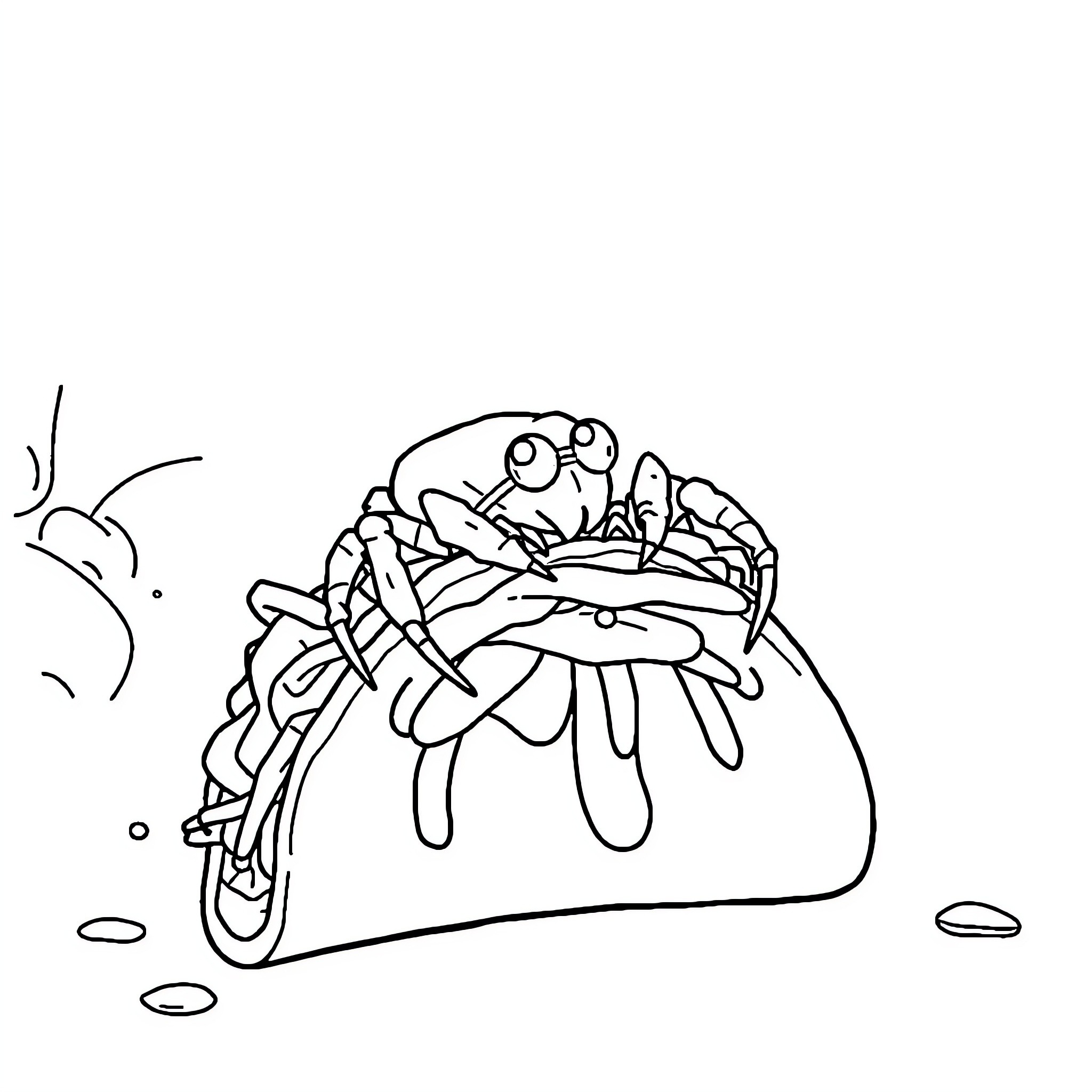 Spider enjoying a tasty taco Coloring Page (free black-and-white line drawing printable PDF for all, from beginners to advanced learners, including children, teens, adults, and seniors)